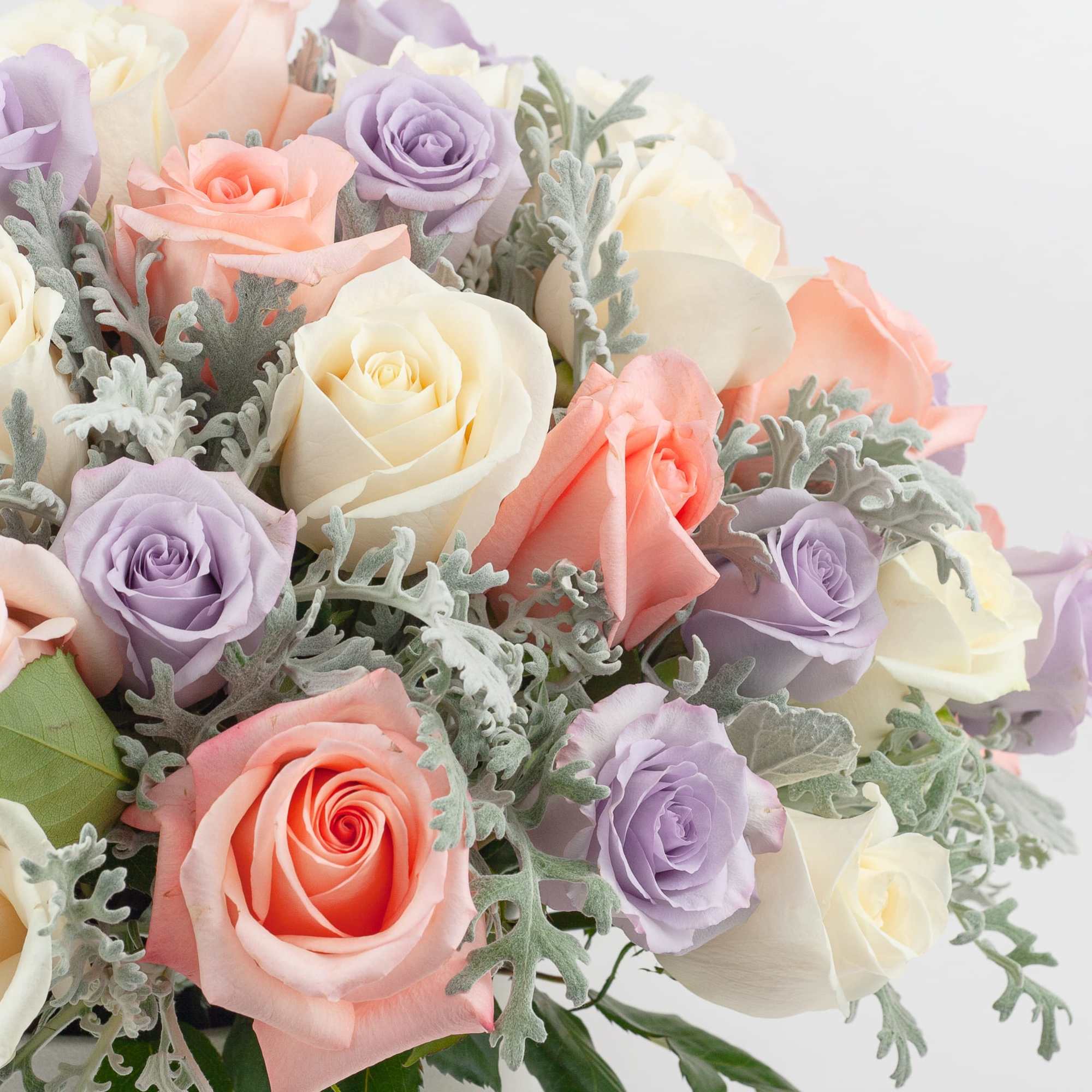  PASTEL ROSES IN LOGO BOX

Pretty and feminine. A sublime rose arrangement