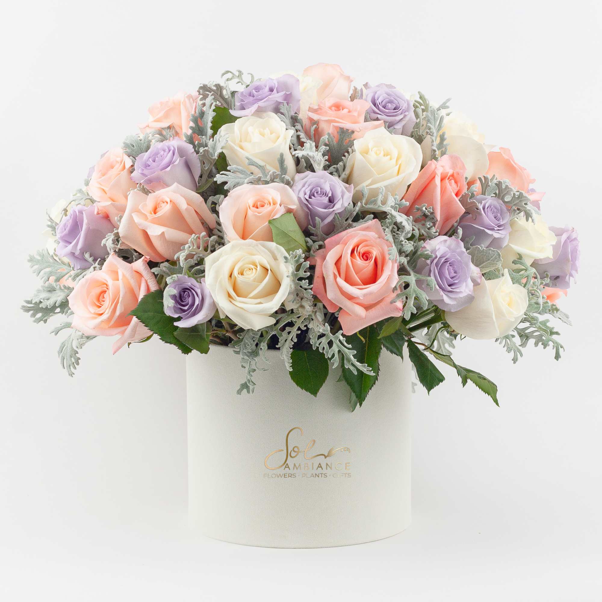  PASTEL ROSES IN LOGO BOX

Pretty and feminine. A sublime rose arrangement