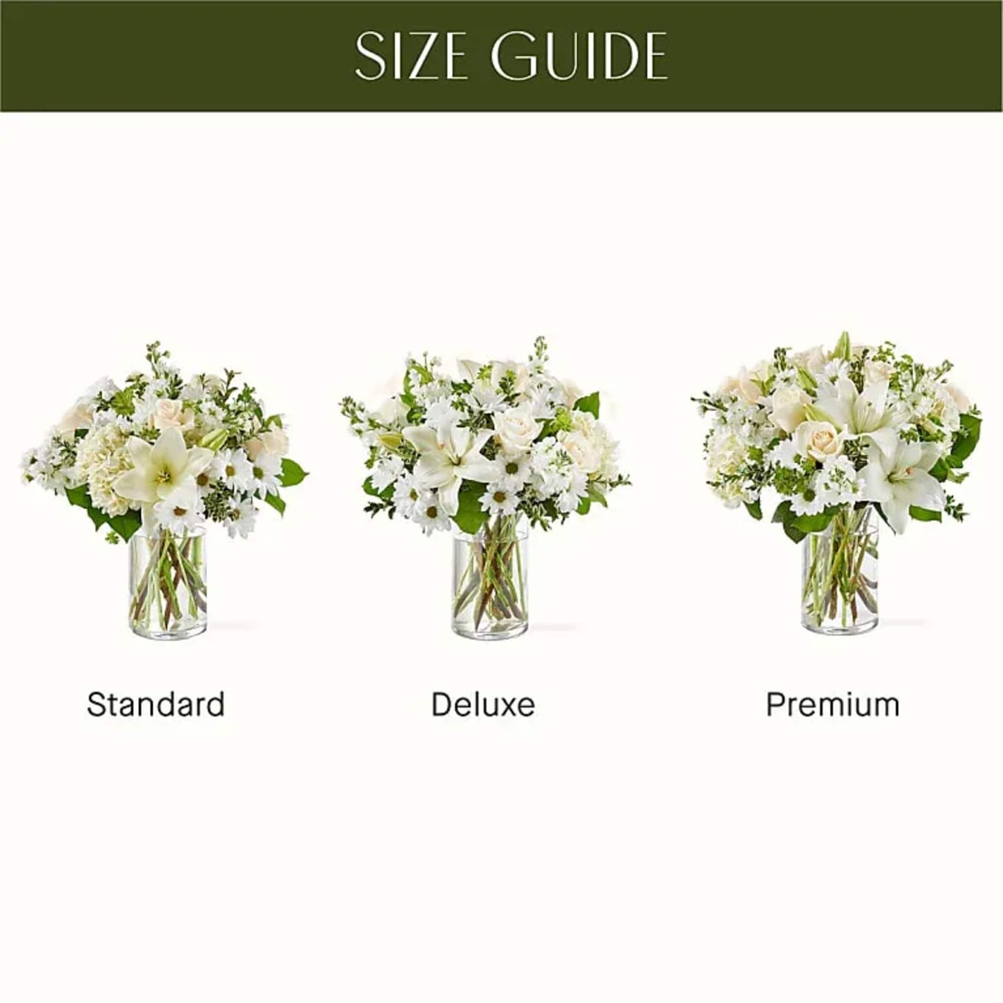 HOPE &amp; RENEWAL BOUQUET

New beginnings come to life in this bouquet, an