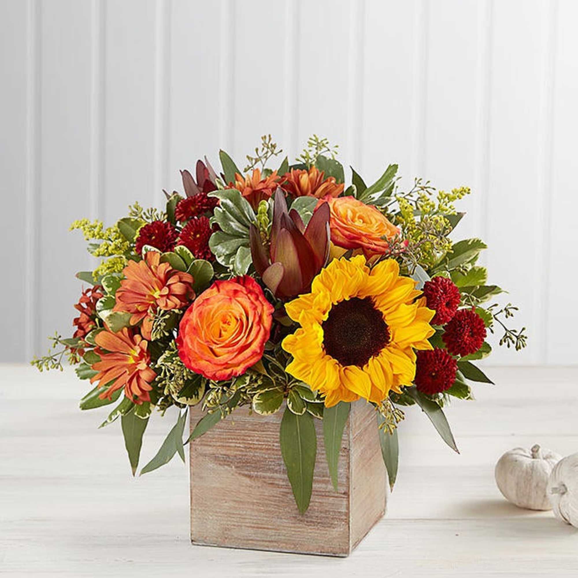 The color and charm of an autumn country harvest inspired our new