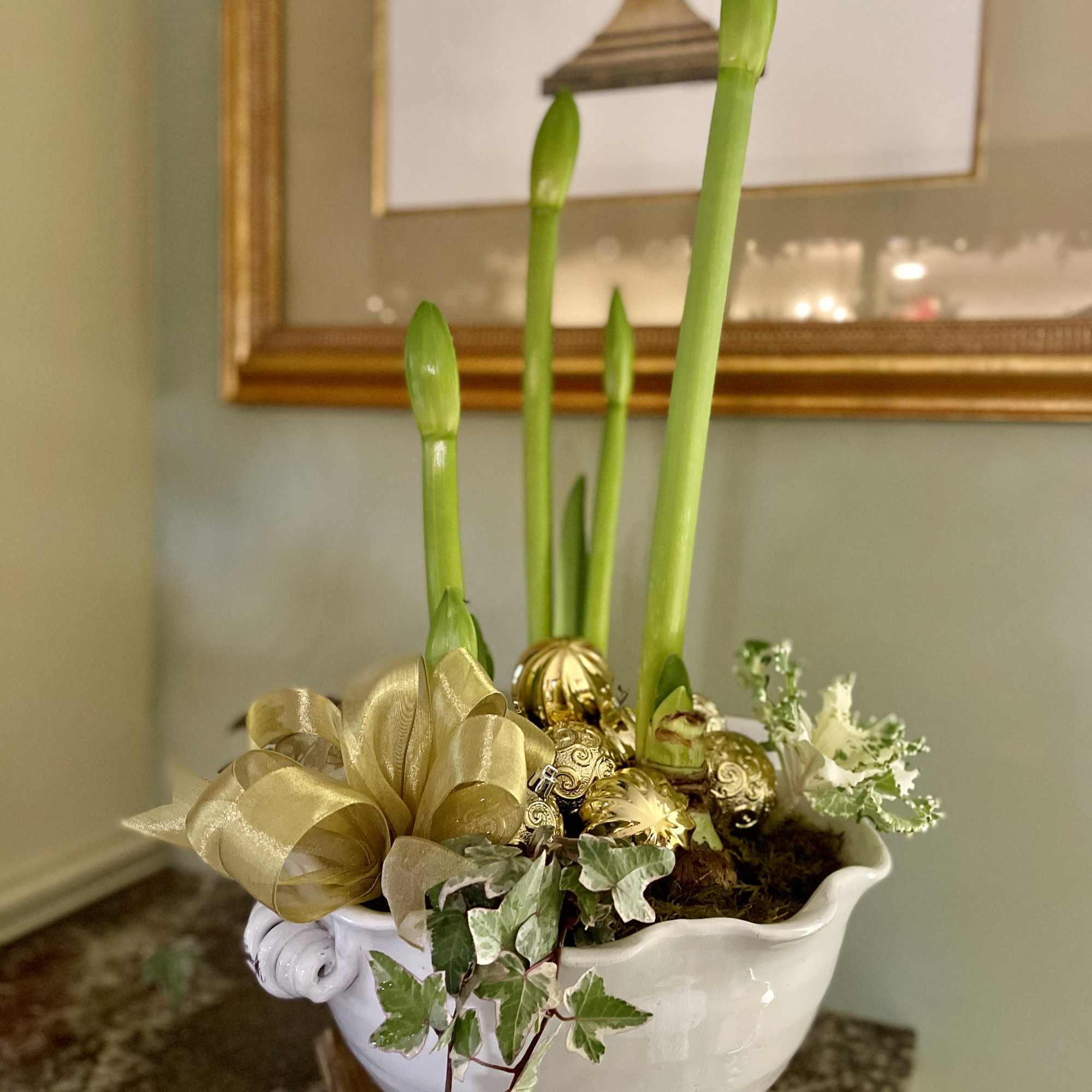 For a limited time, the Holiday Amaryllis Garden.  Single, Double and