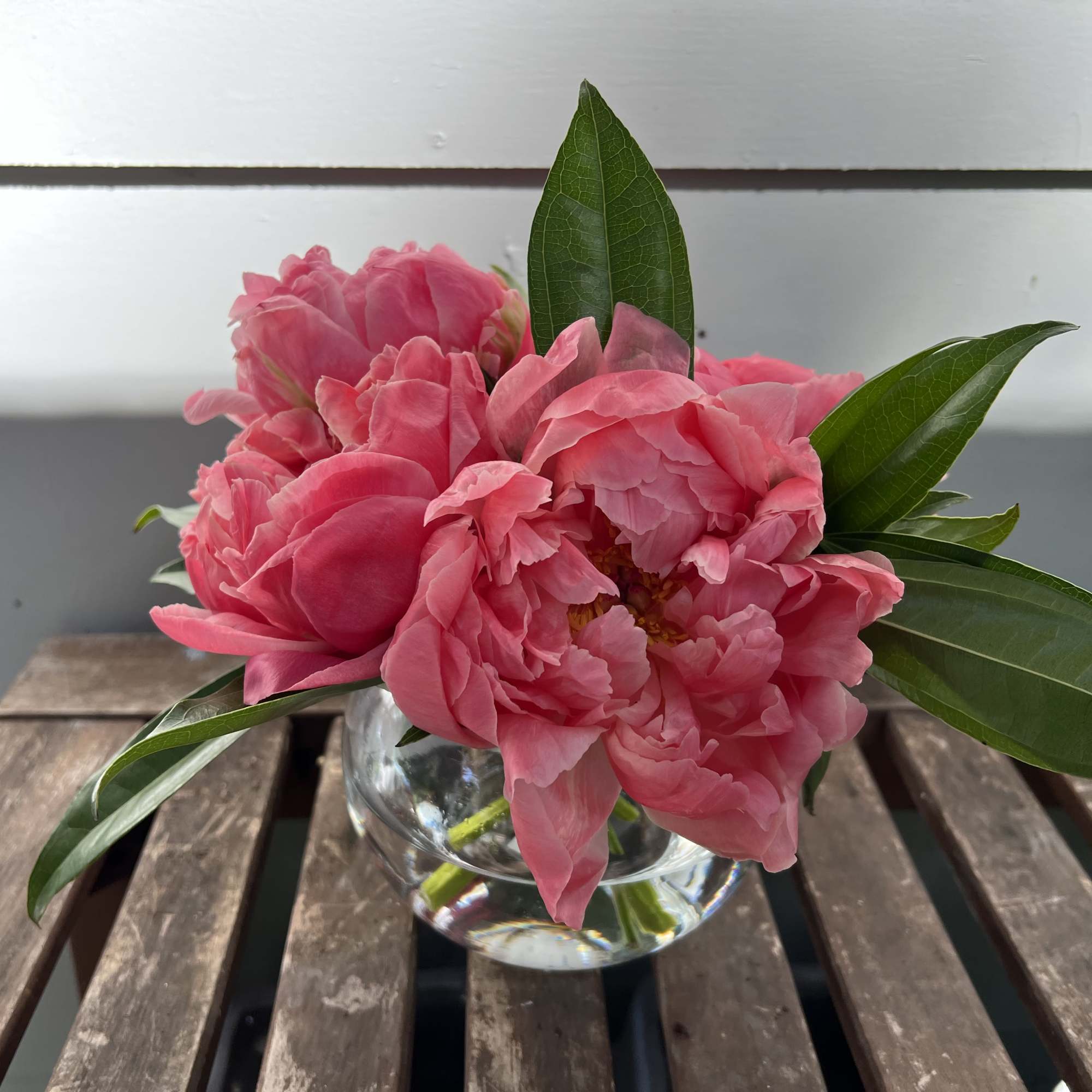 Embrace the Elegance of Peonies
Introducing &quot;Peony Perfect,&quot; a stunning arrangement that celebrates
