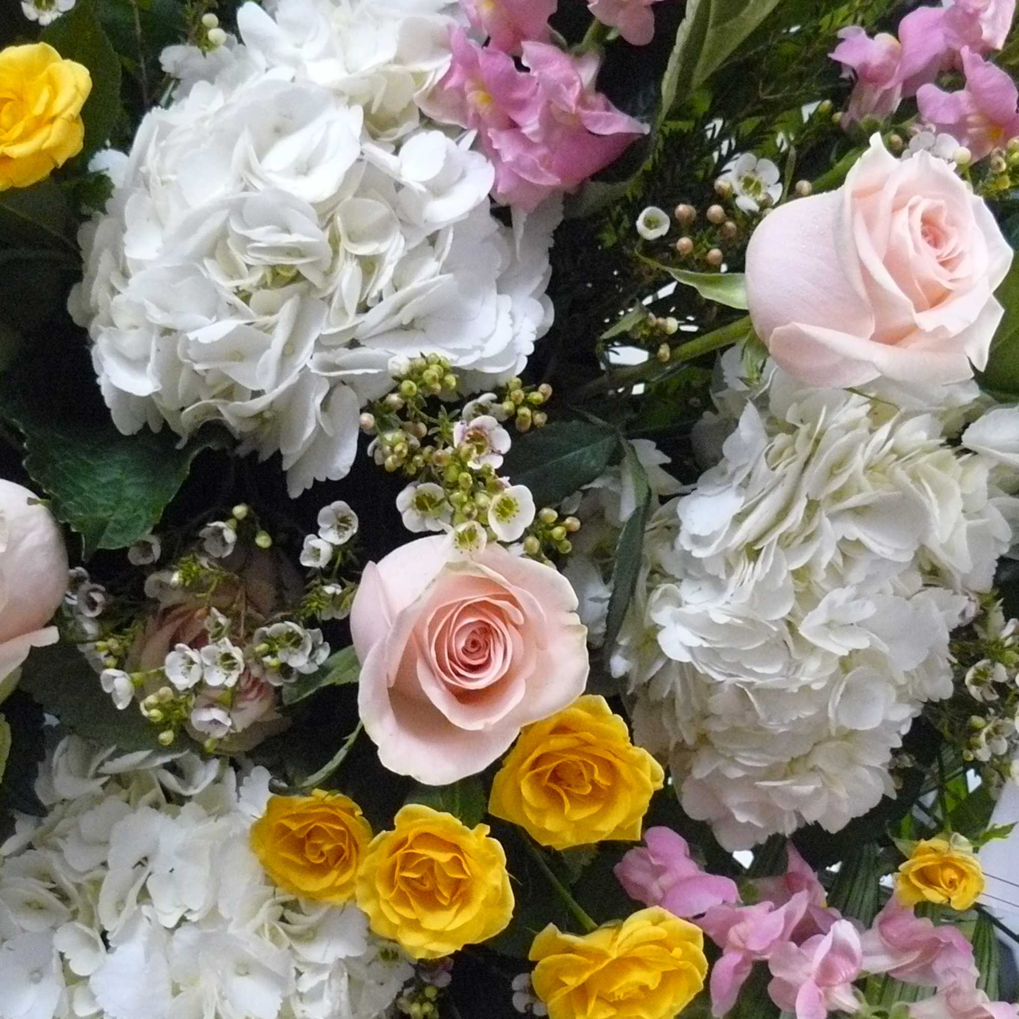 Multiple Colored Hydrangea, Roses, Spray Roses, Snapdragons, Ruscus, Palms, Fancy Greens