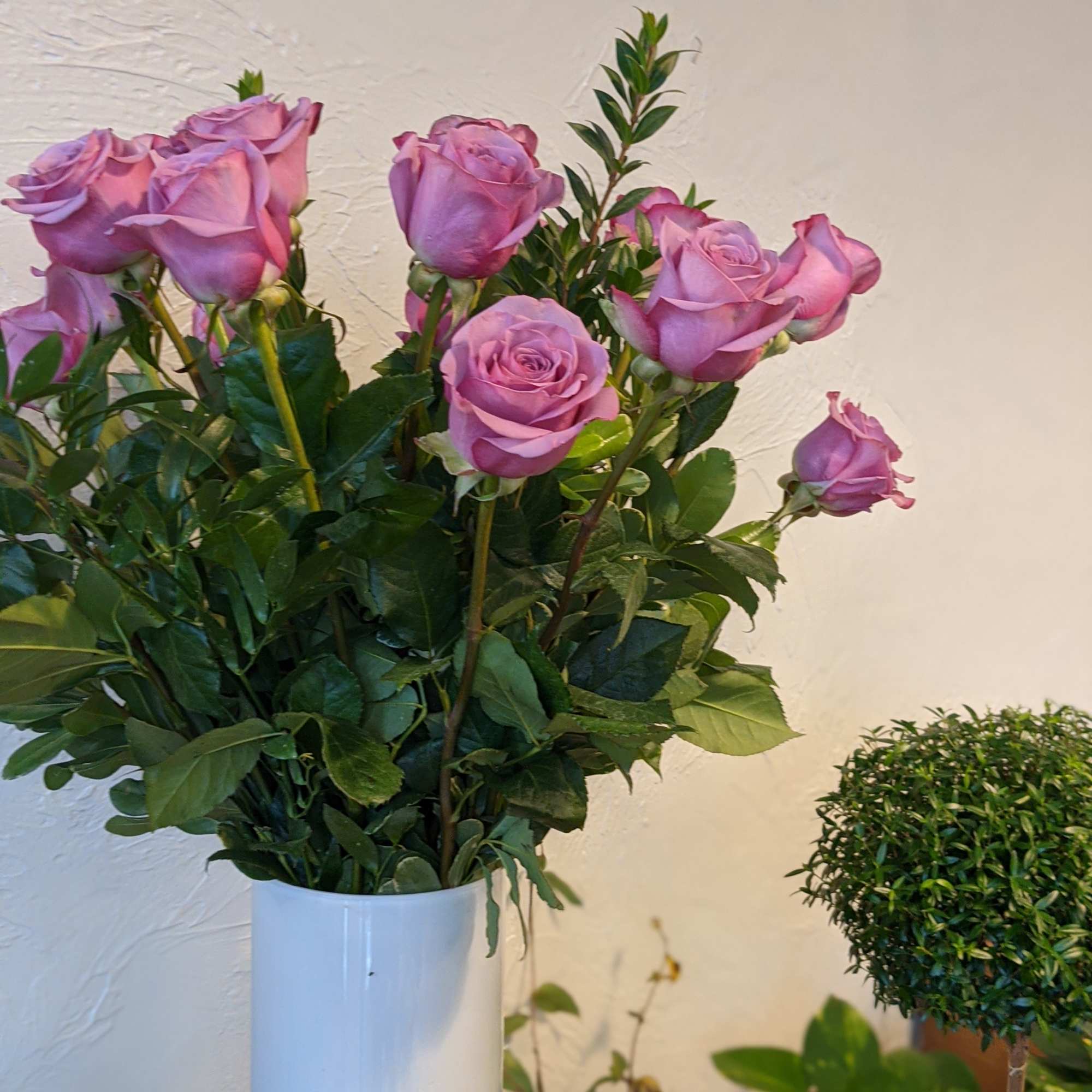 A timeless classic, send a dozen roses in a vase with complementing