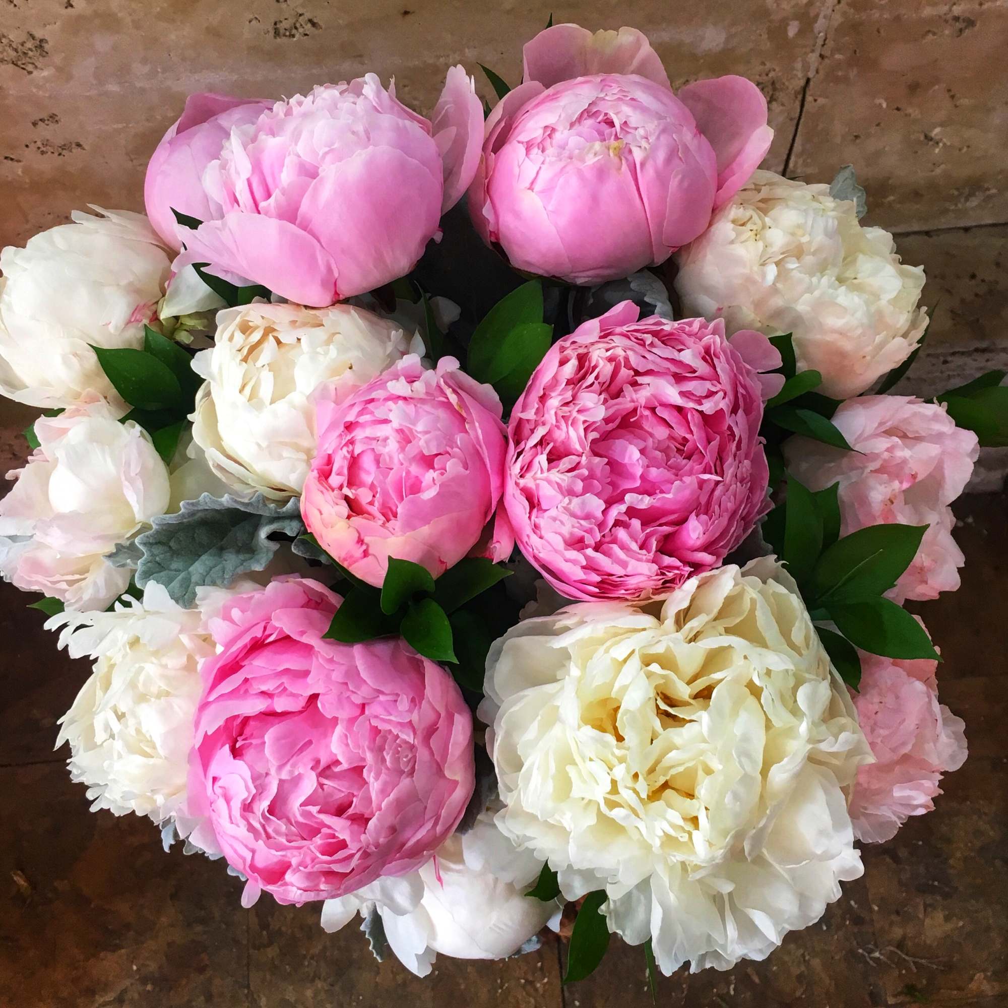 Bountiful assortment of Peonies with a touch of Dusty Miller along with