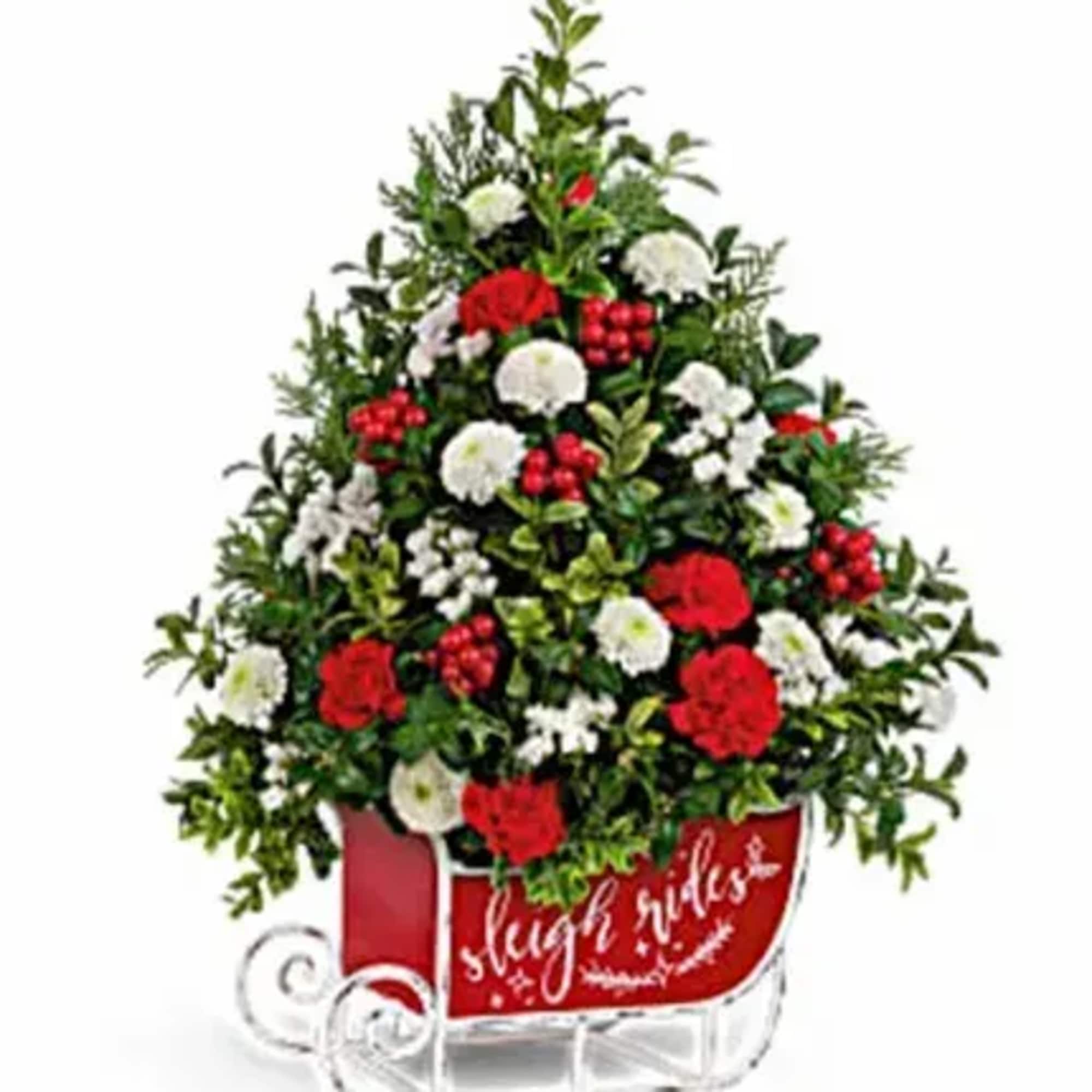 Wow them this Christmas with a fresh, fabulous tree arranged in a