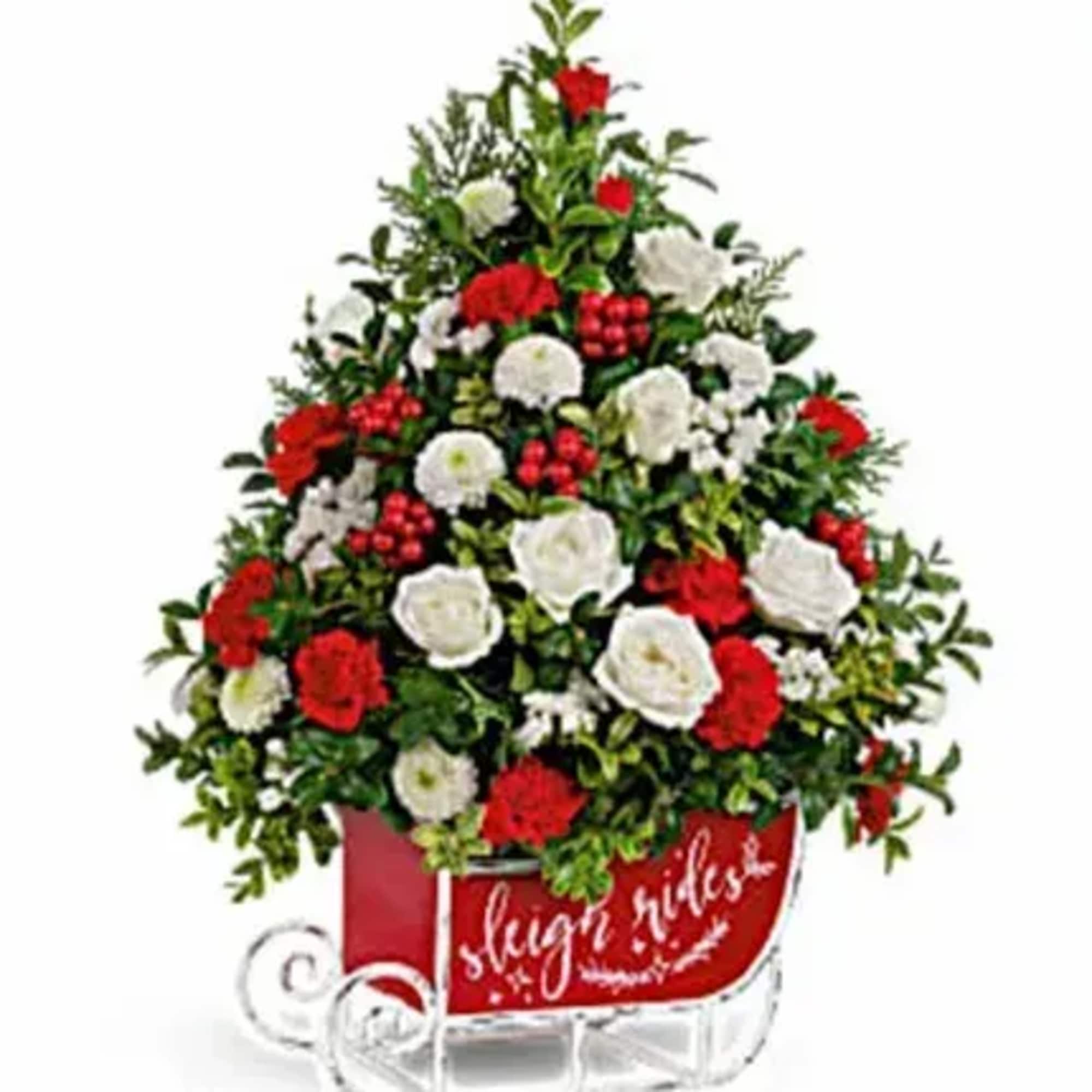 Wow them this Christmas with a fresh, fabulous tree arranged in a