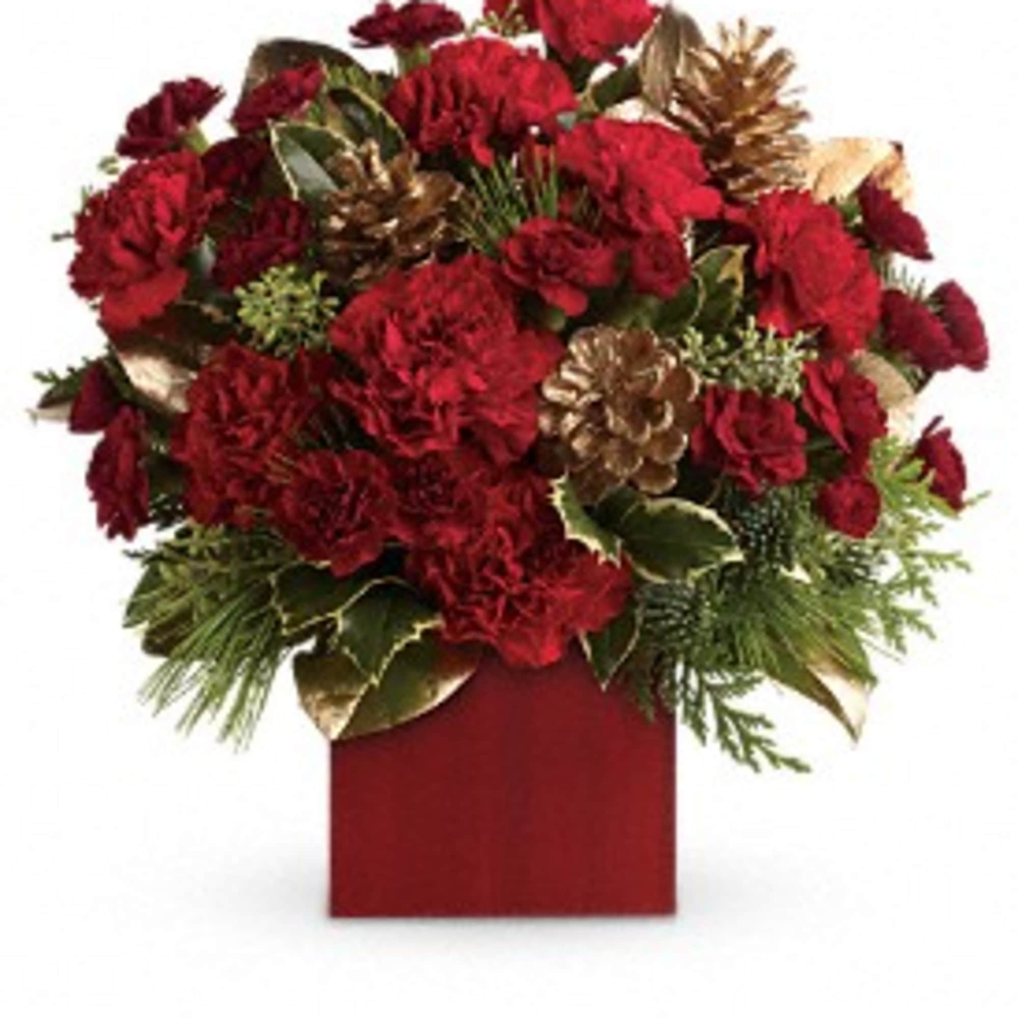 Warm up cold winter days with good cheer! Red roses are delightfully