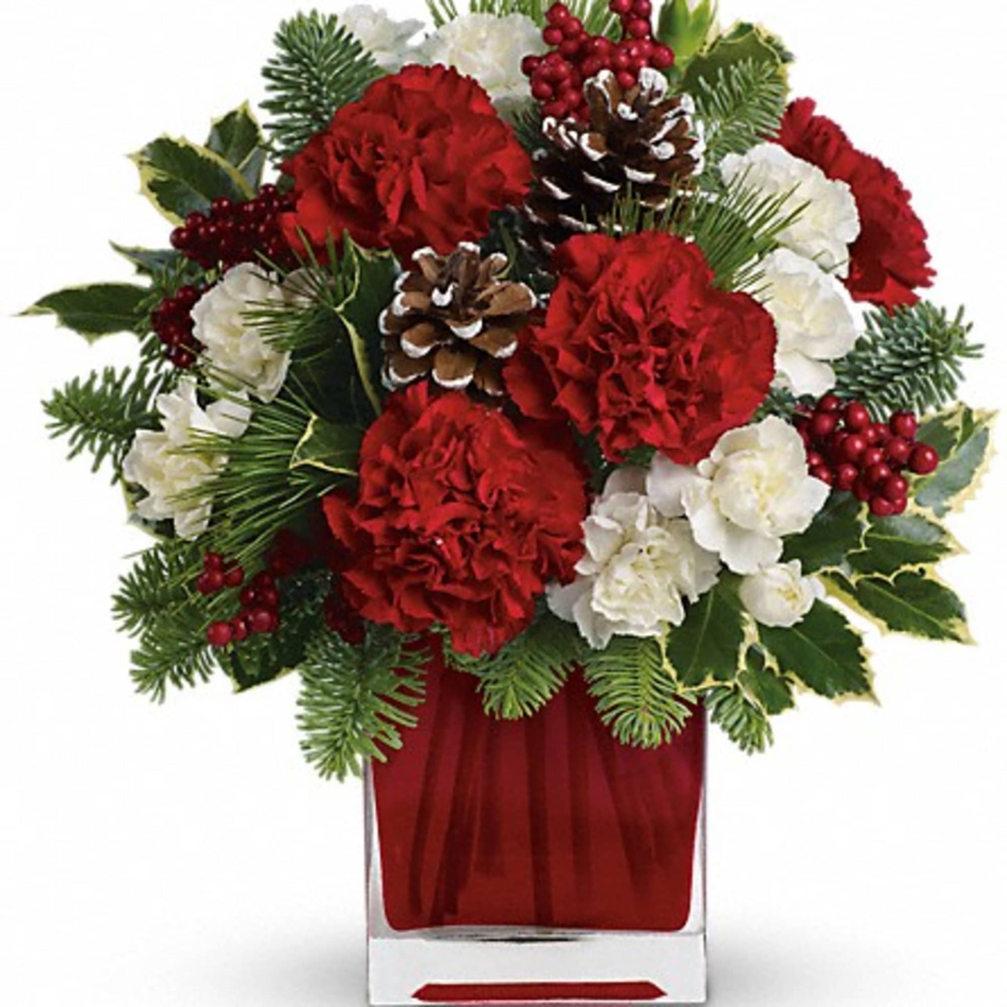 Deliver a winter&#039;s day delight. This sweet bouquet includes red carnations and