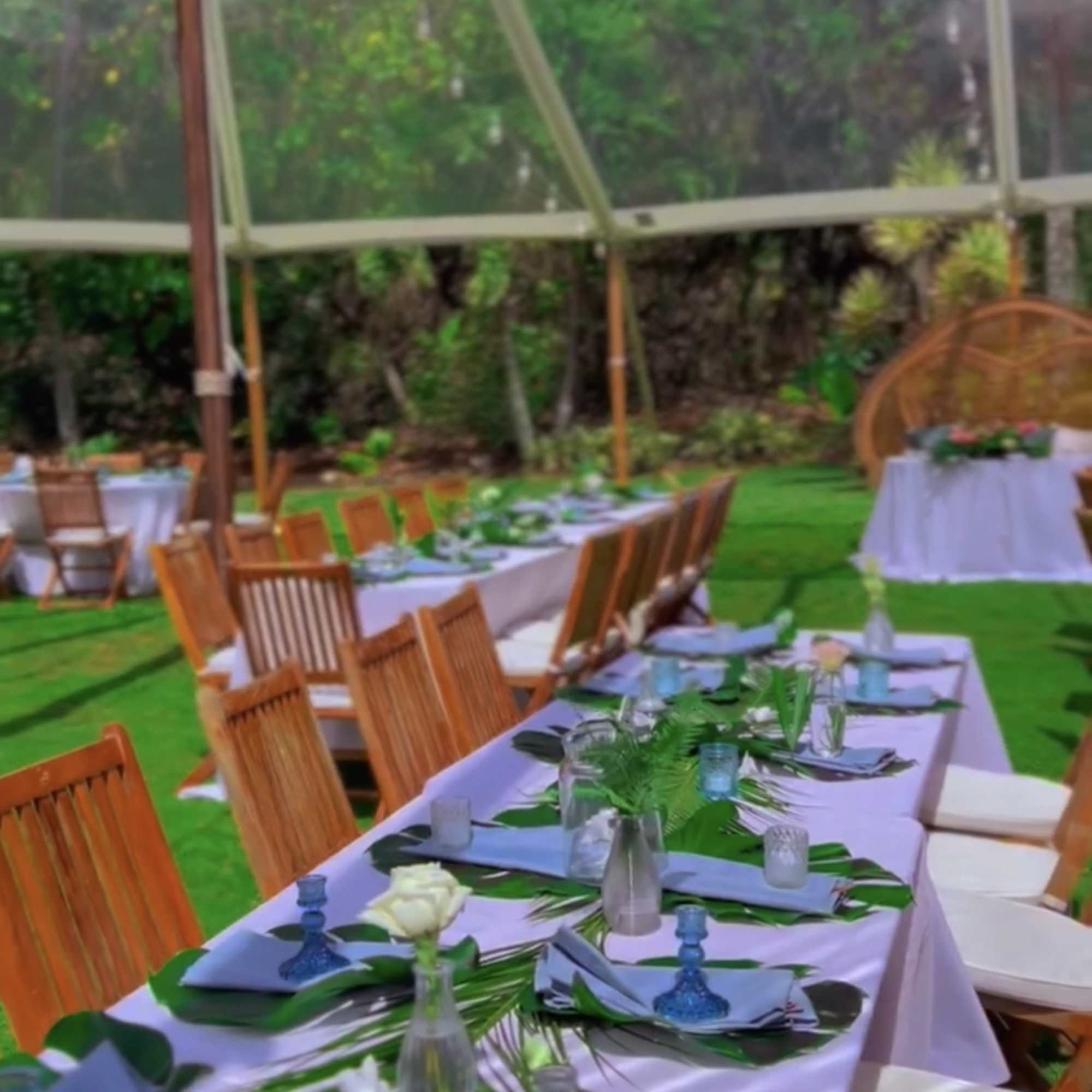 
This pack includes 11  elegant  tropical table arrangements 8 medium