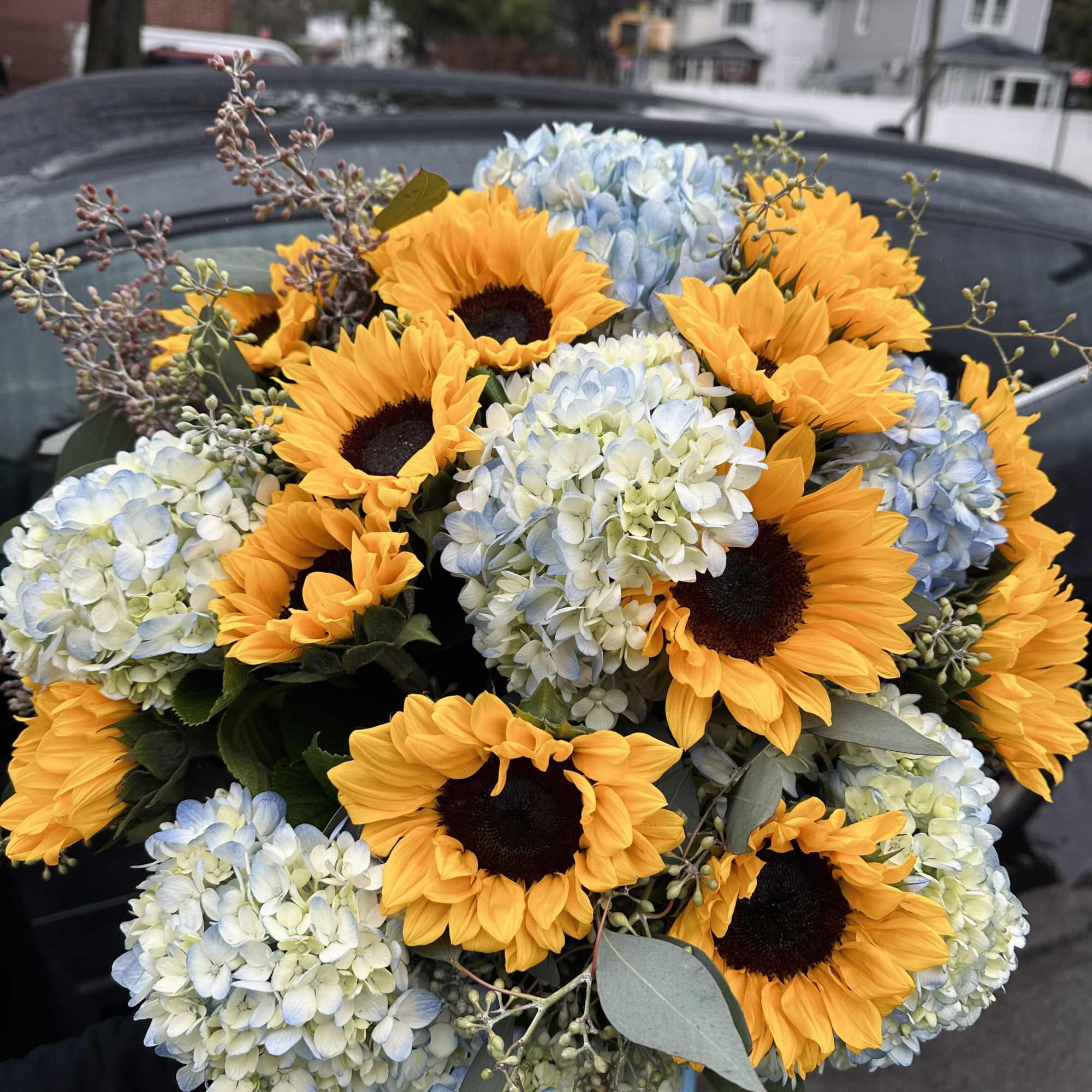 12 sunflowers, 7 Hydrangea and Seeded Eucalyptus  

