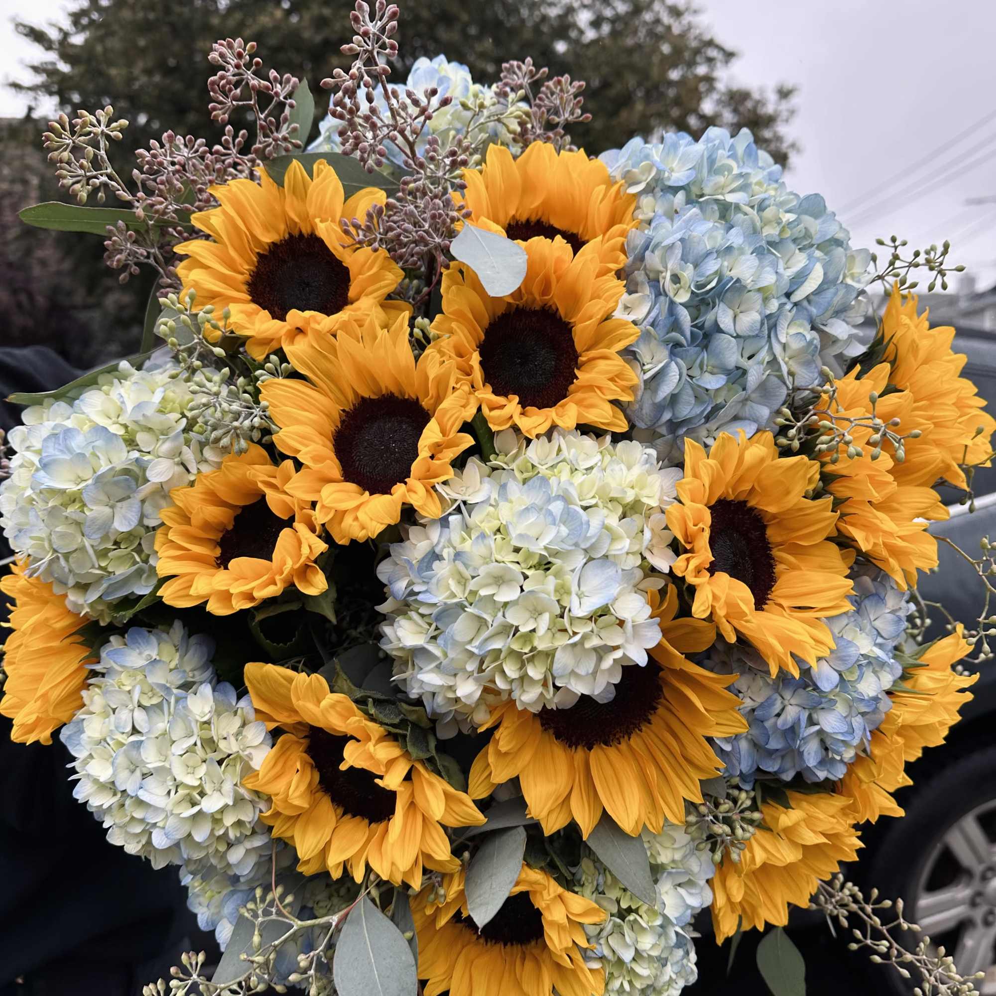 12 sunflowers, 7 Hydrangea and Seeded Eucalyptus  
