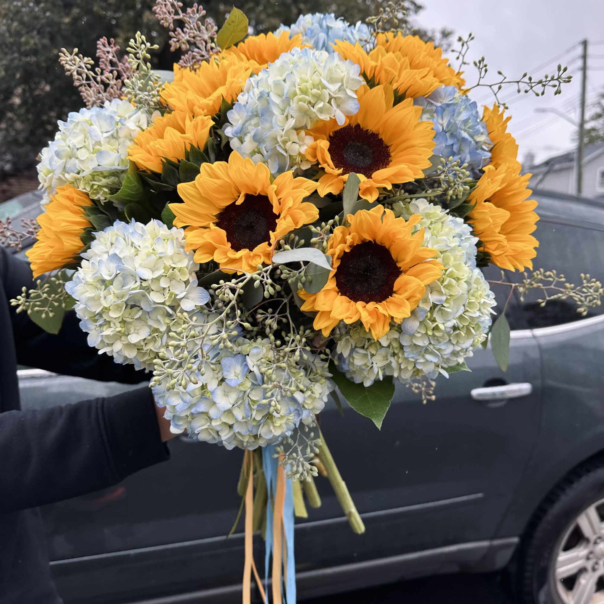 12 sunflowers, 7 Hydrangea and Seeded Eucalyptus  
