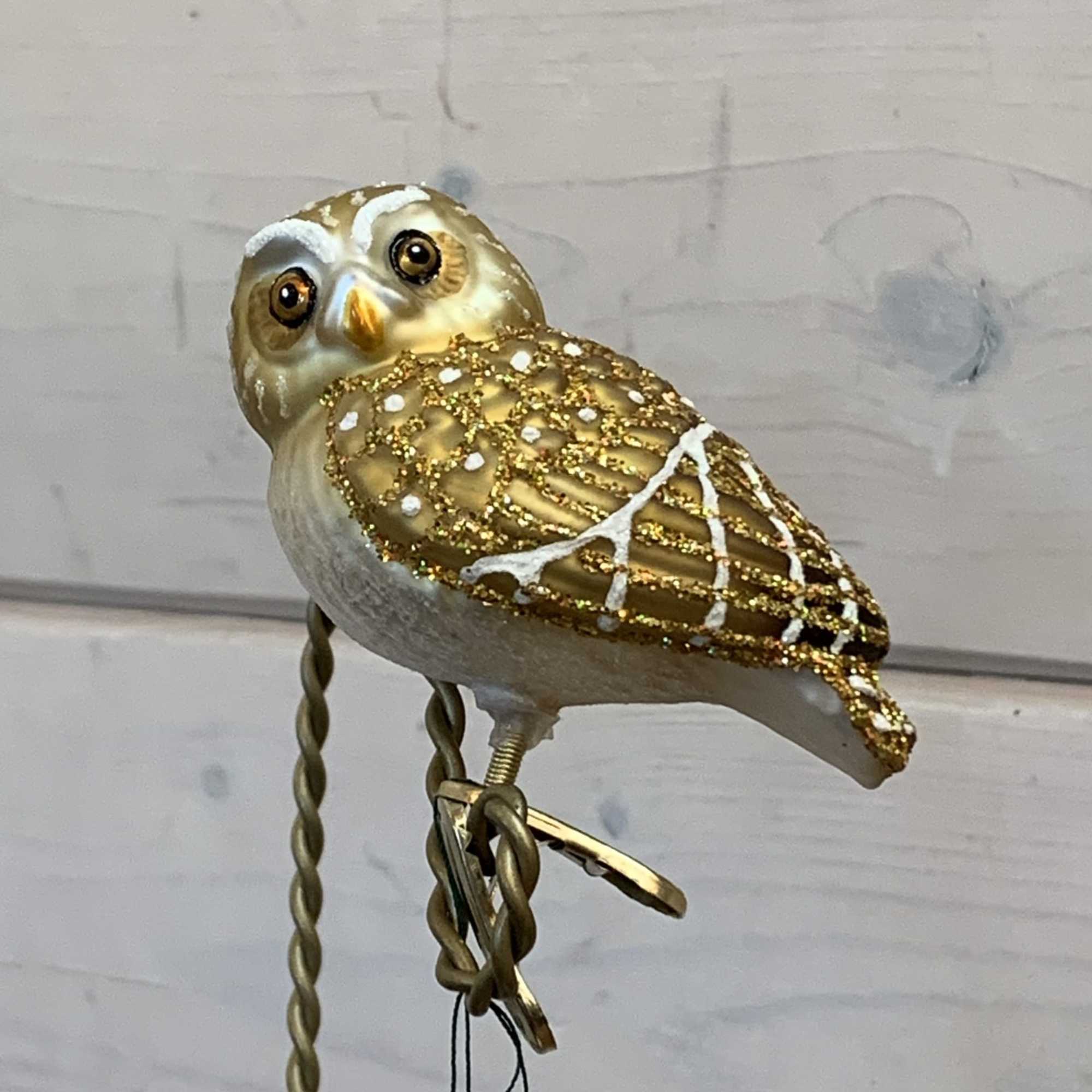 Owls are symbols of wisdom because they look so serious and thoughtful.