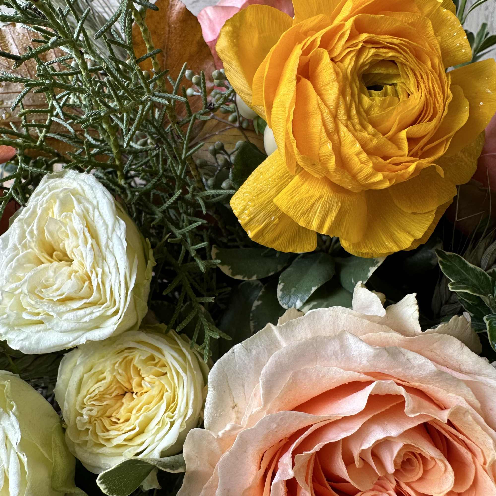 Dazzle any tablescape with this stunning array of festive autumnal colors. 