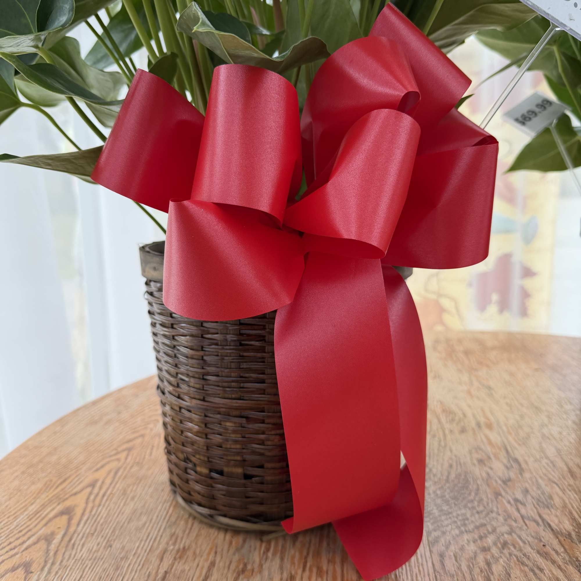 Bring a touch of tropical elegance to your home this holiday season