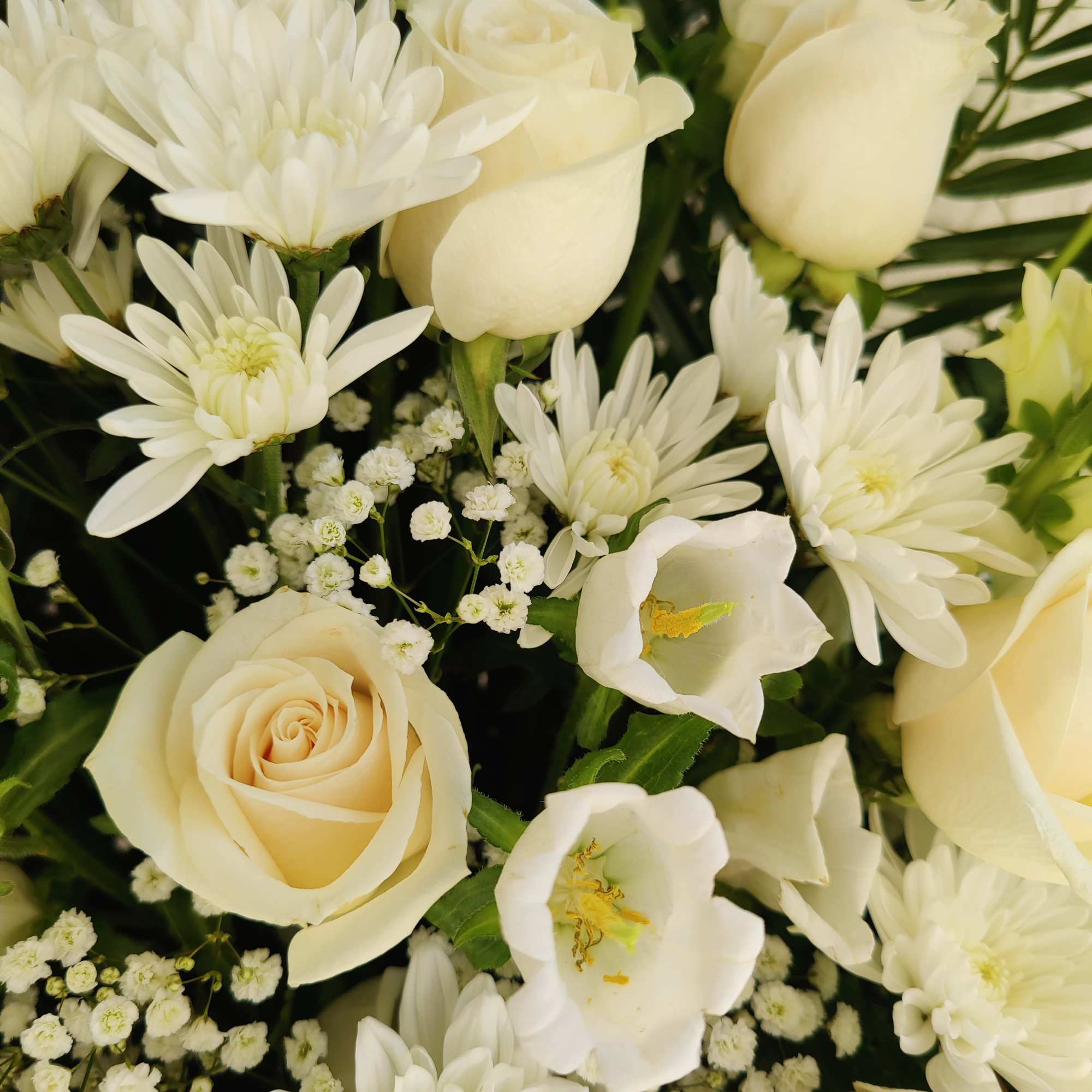 Express your deepest sympathies with this beautiful arrangement that radiates peace; it&rsquo;s