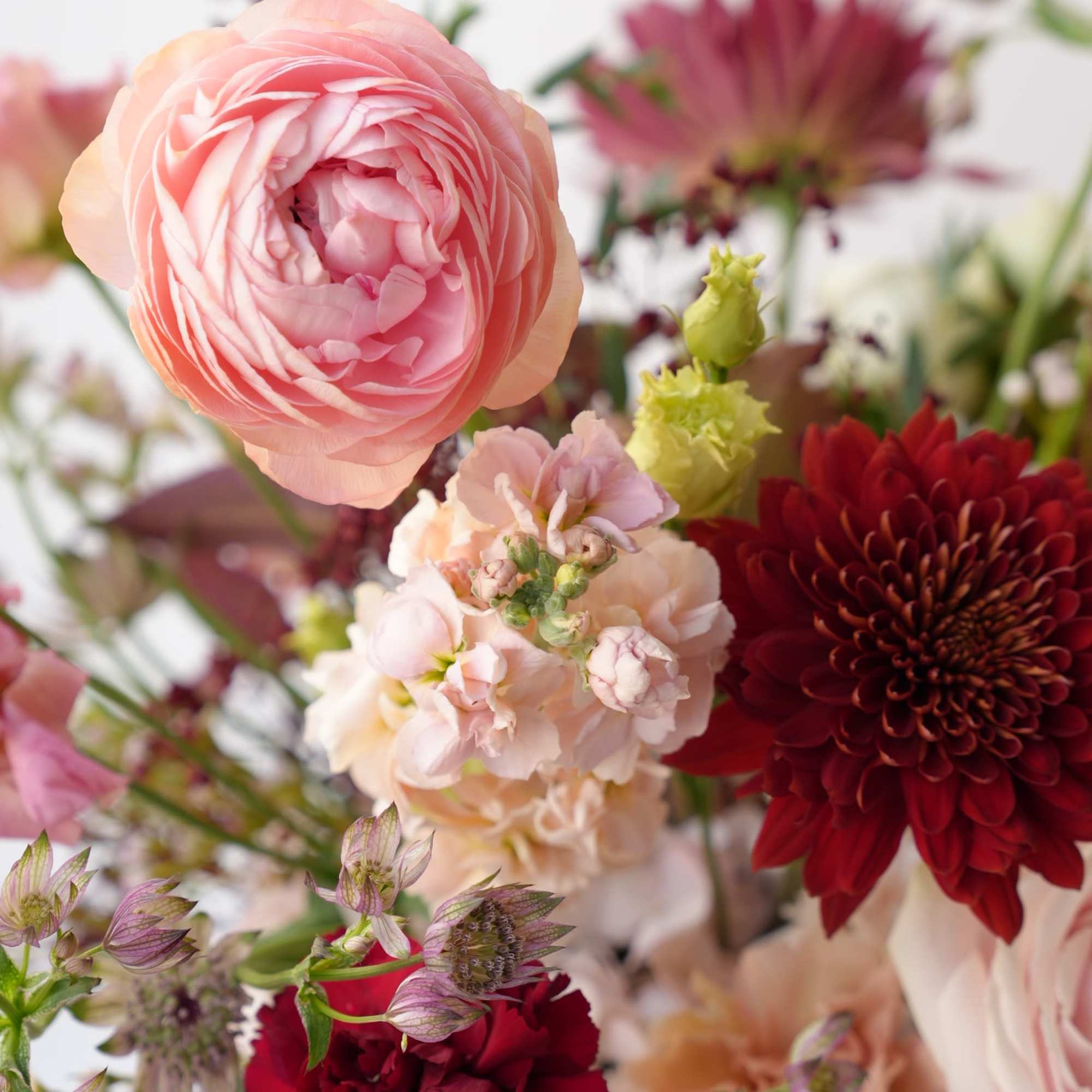 Elevate your gatherings with the ultimate seasonal color combination: rich reds, burgundies