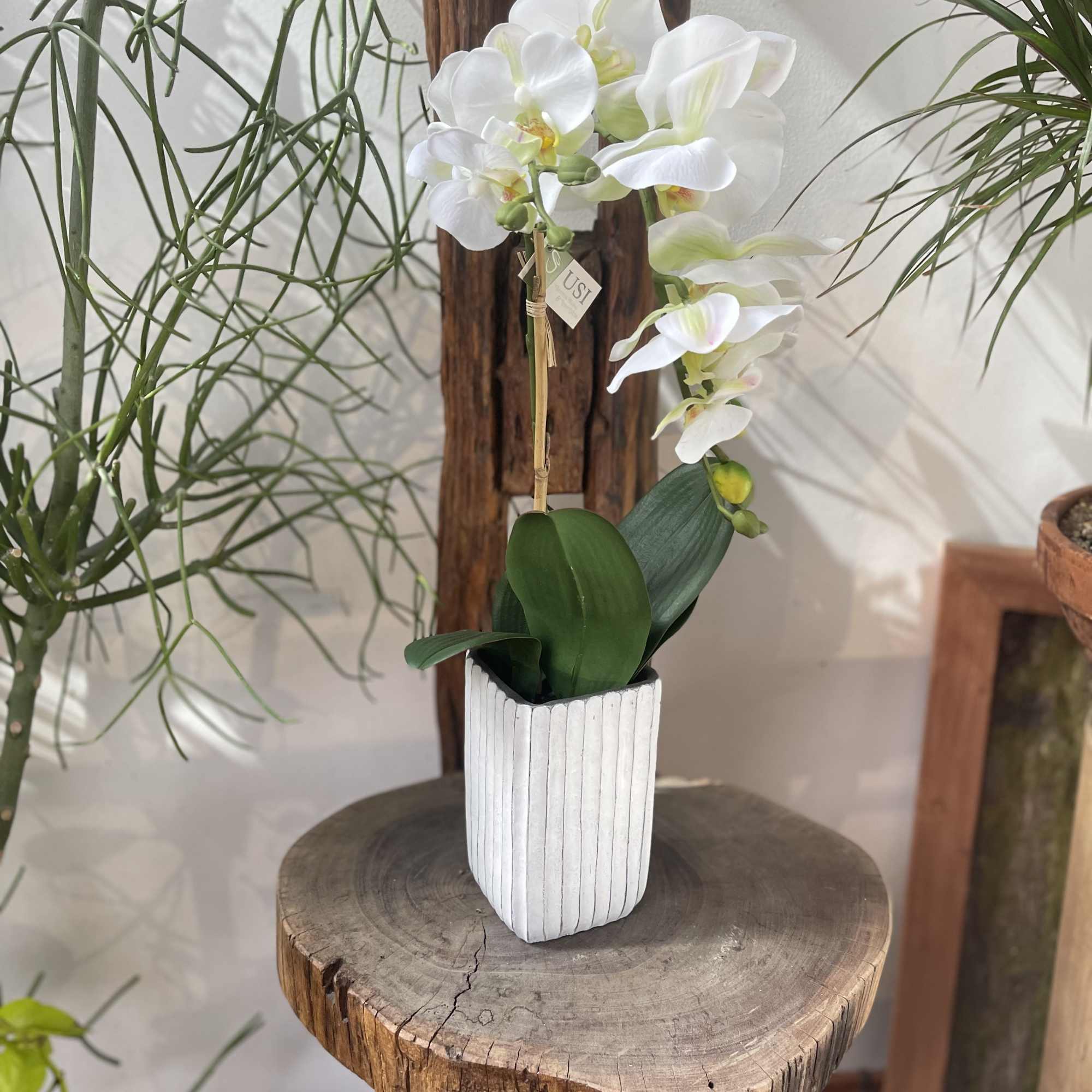 Transform your space into a haven of elegance with our Artificial 21&quot;