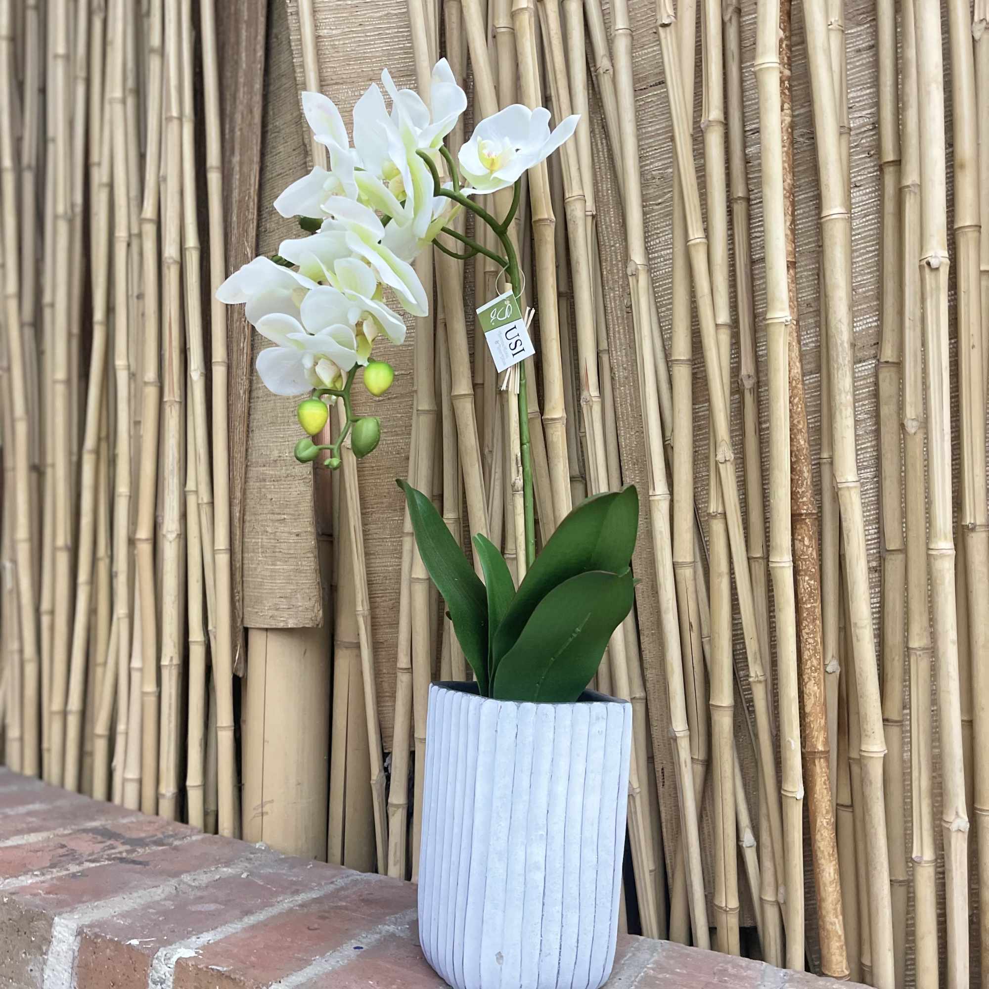 Transform your space into a haven of elegance with our Artificial 21&quot;