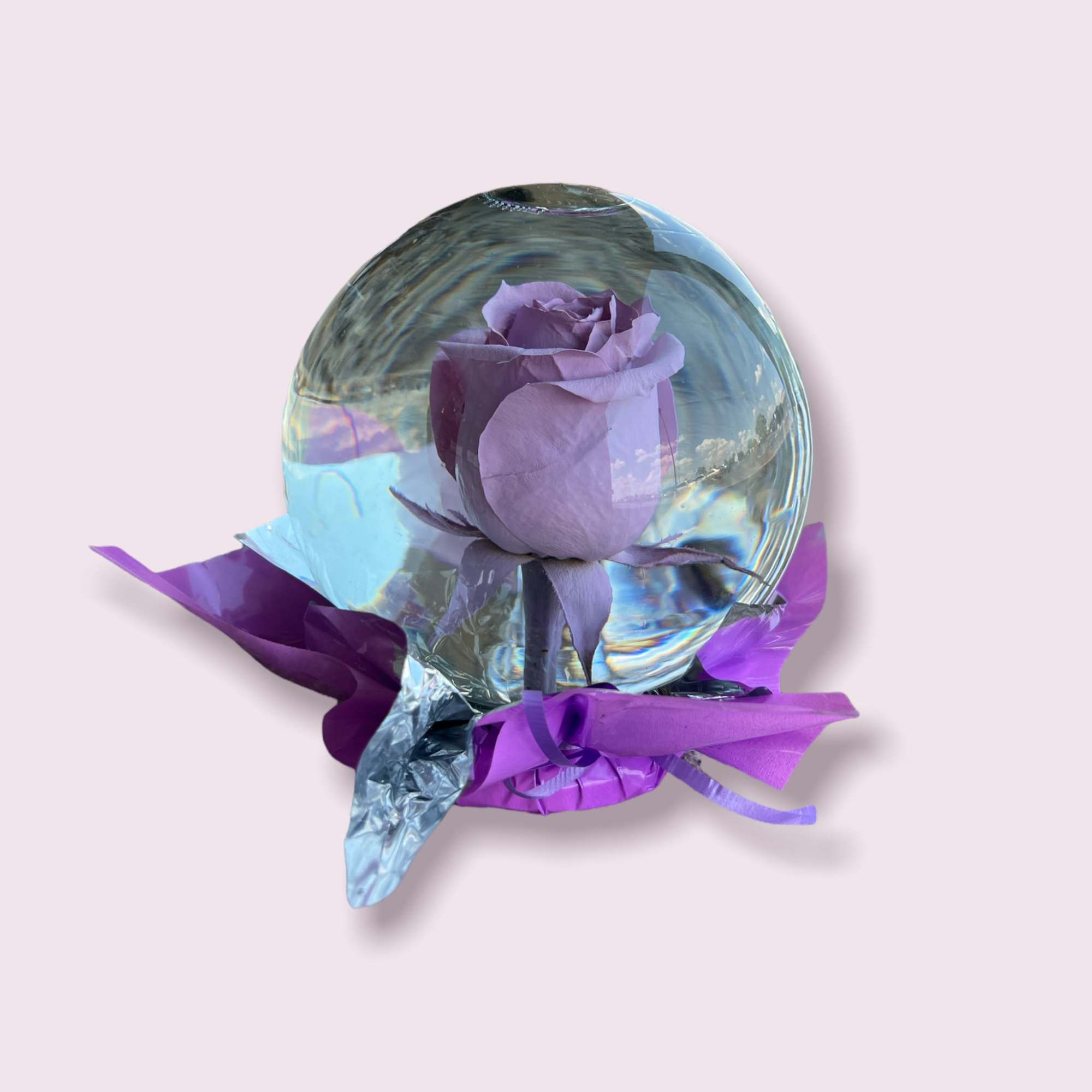 Surprise the ones you love with our new rose globe gift! It&#039;s