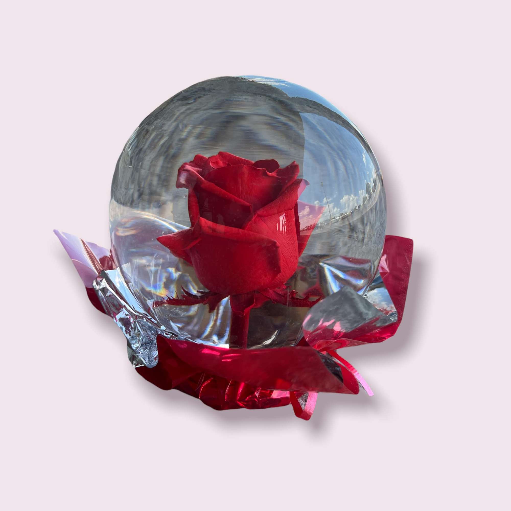 Surprise the ones you love with our new rose globe gift! It&#039;s