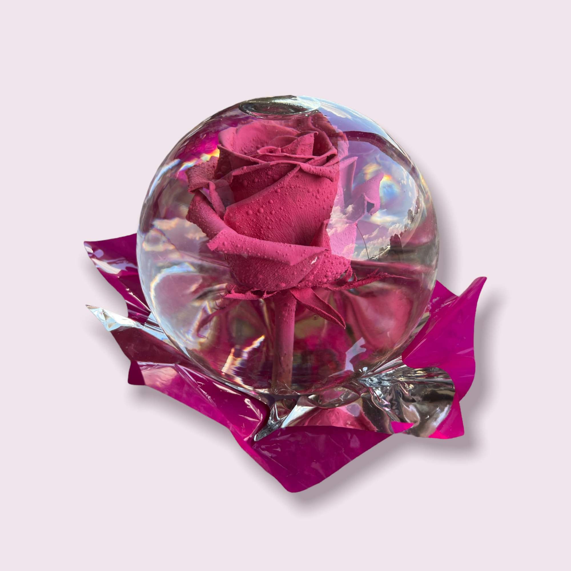 Surprise the ones you love with our new rose globe gift! It&#039;s