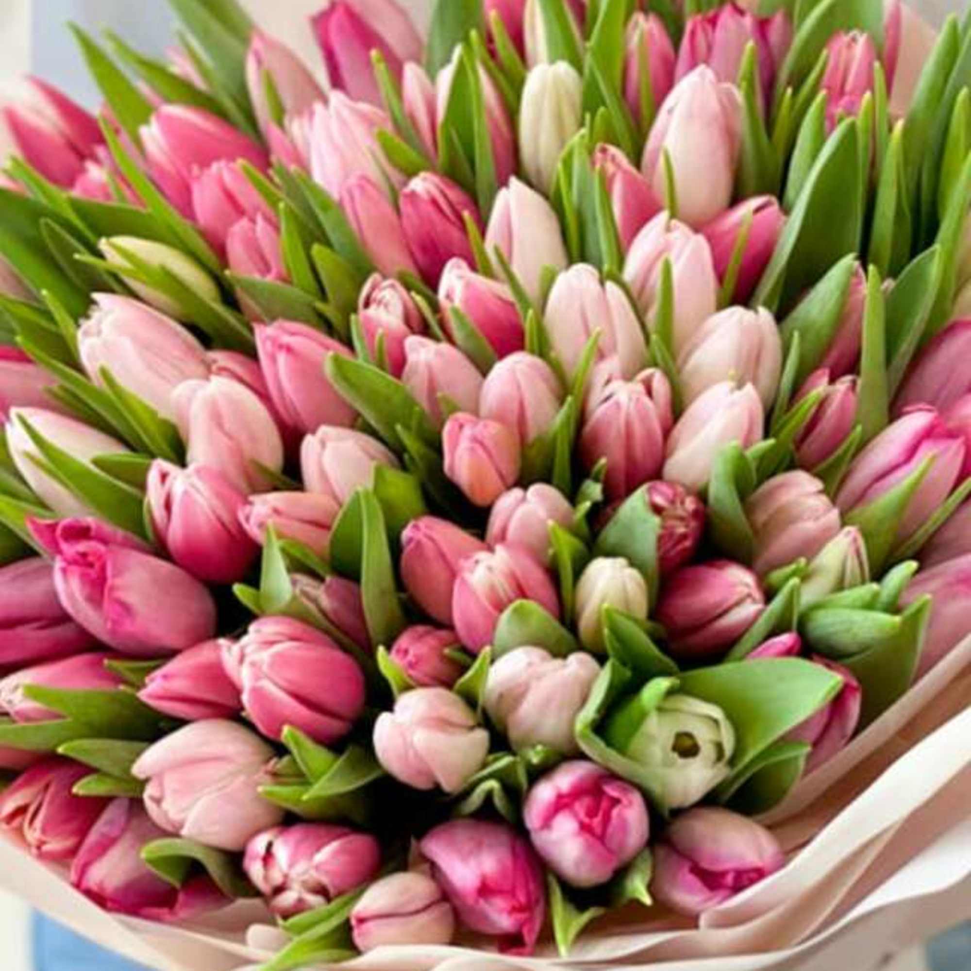 -MIX OF ALL COLORS NOT IN VASE