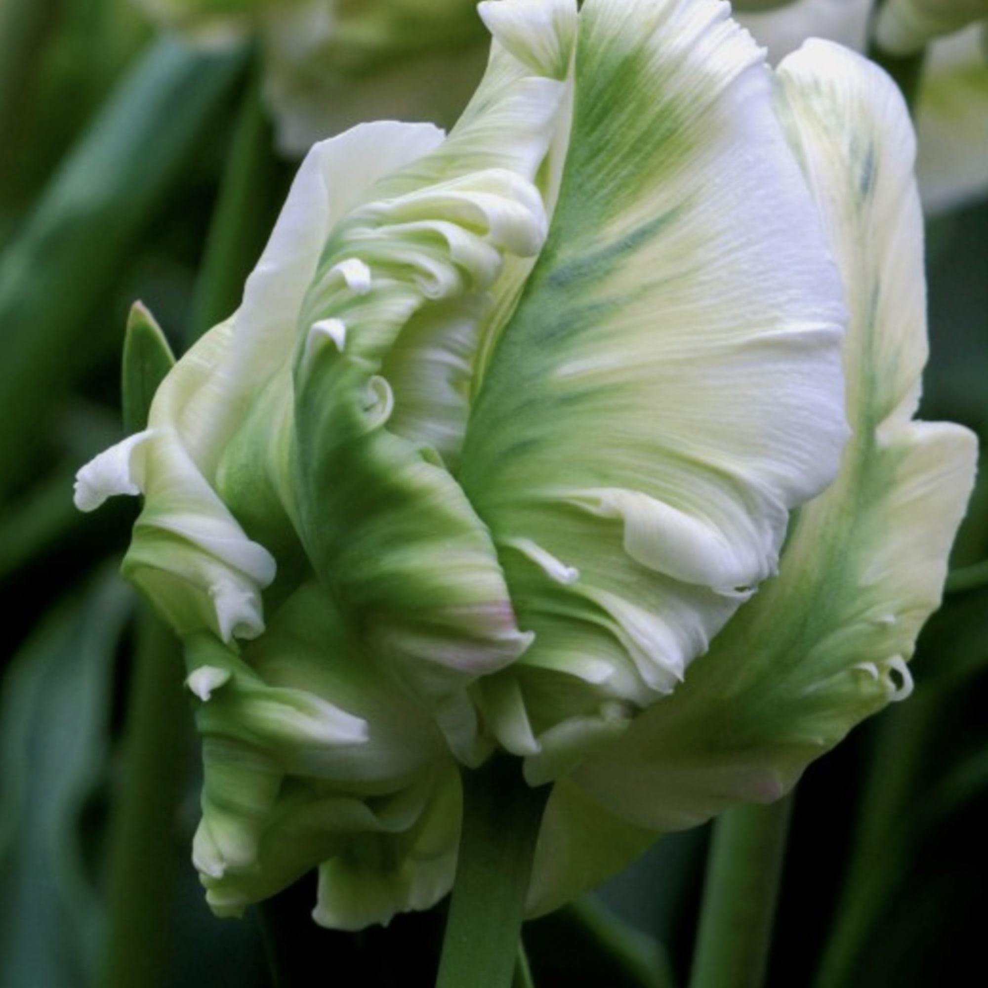 Sometimes we need little neutral in our lives.  Due to popular