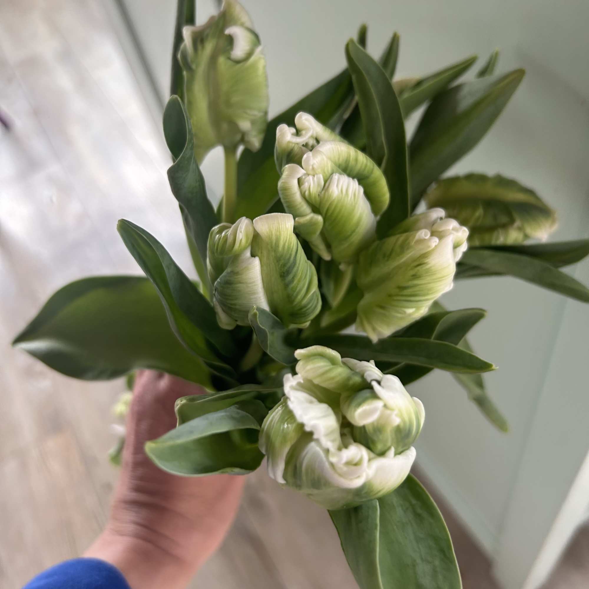 Sometimes we need little neutral in our lives.  Due to popular