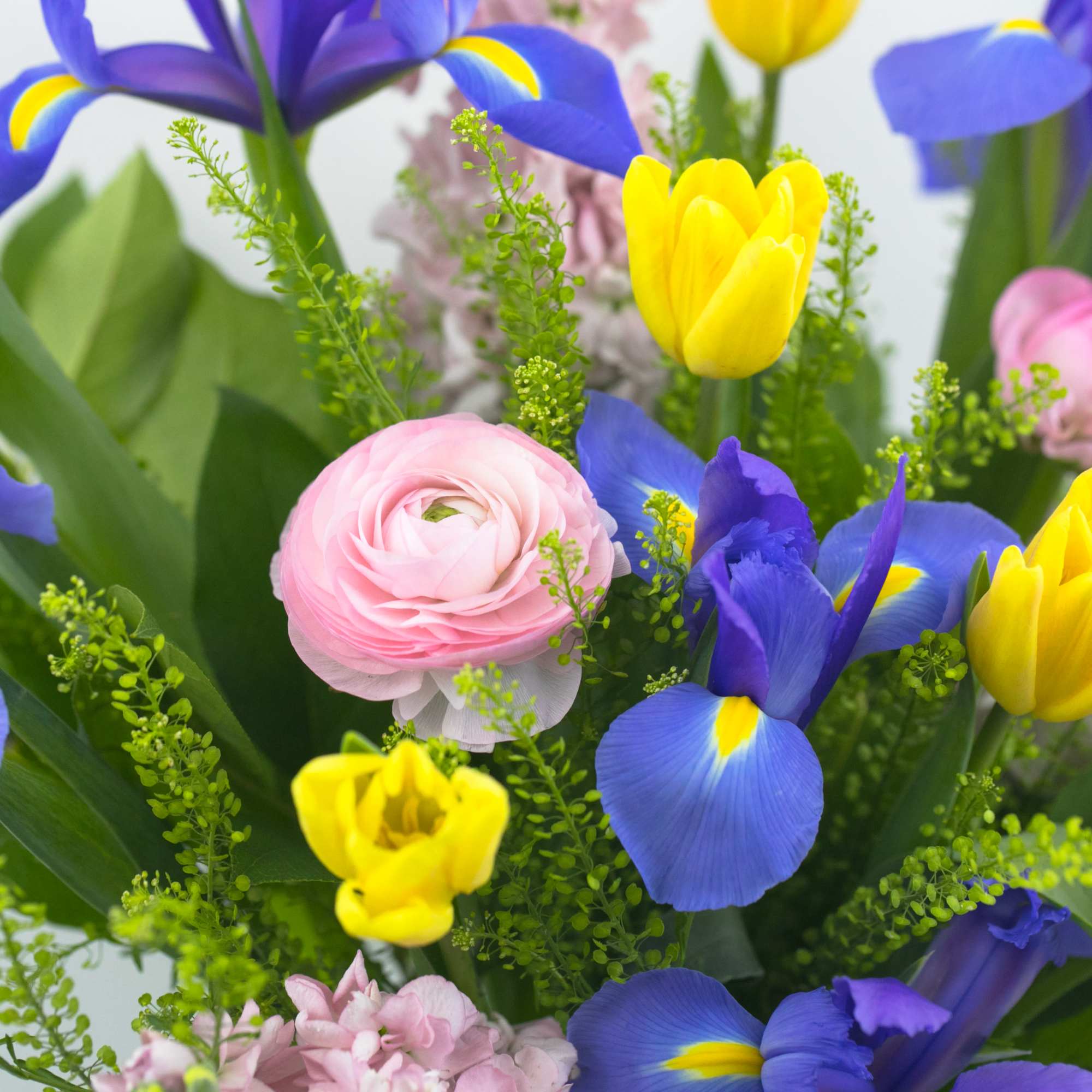 BLUE IRIS AND SPRING FLOWER ARRANGEMENT

Pretty and perfumed. A gorgeous spring-inspired flower