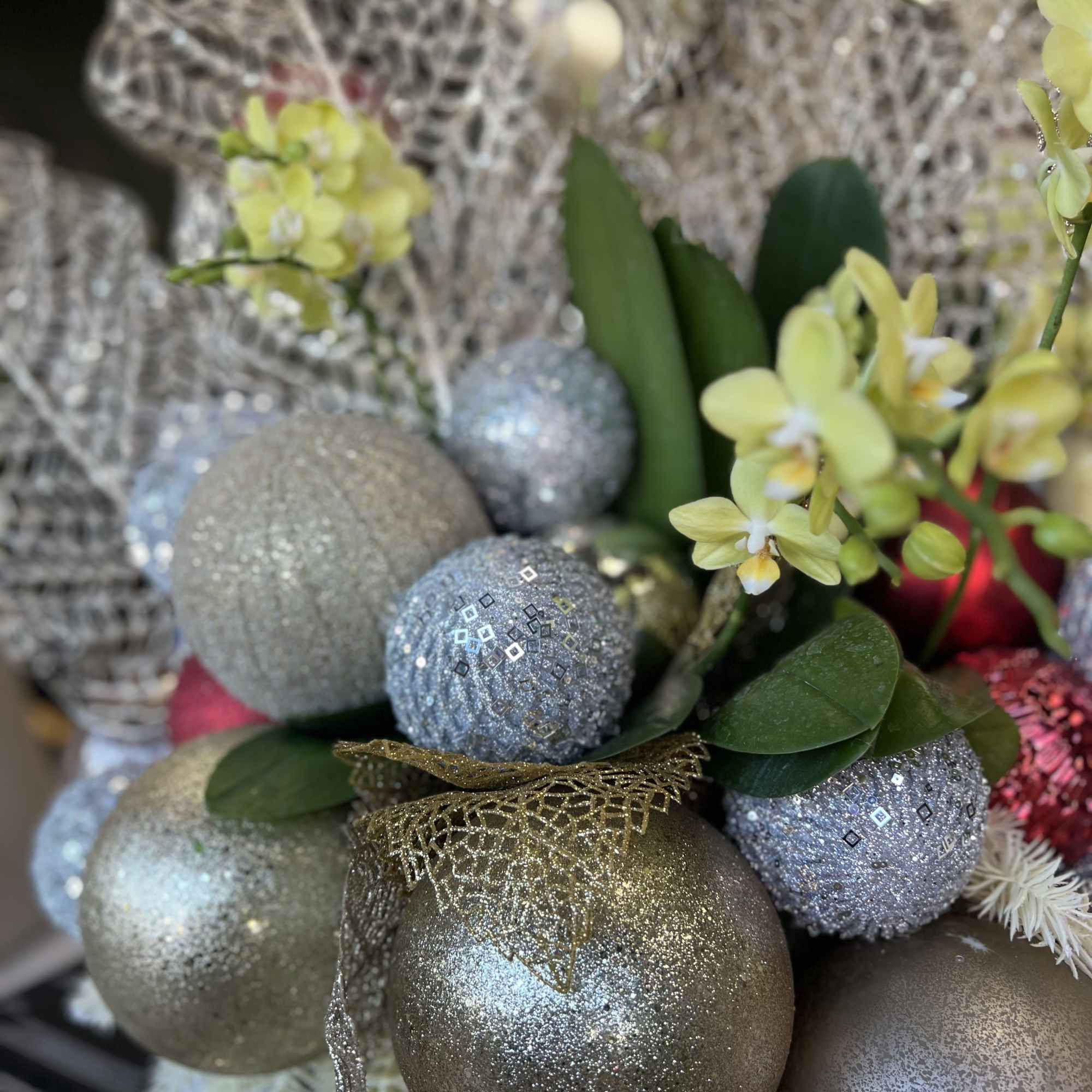 Introducing the perfect holiday centerpiece &ndash; a beautiful Christmas Orchid Arrangement that