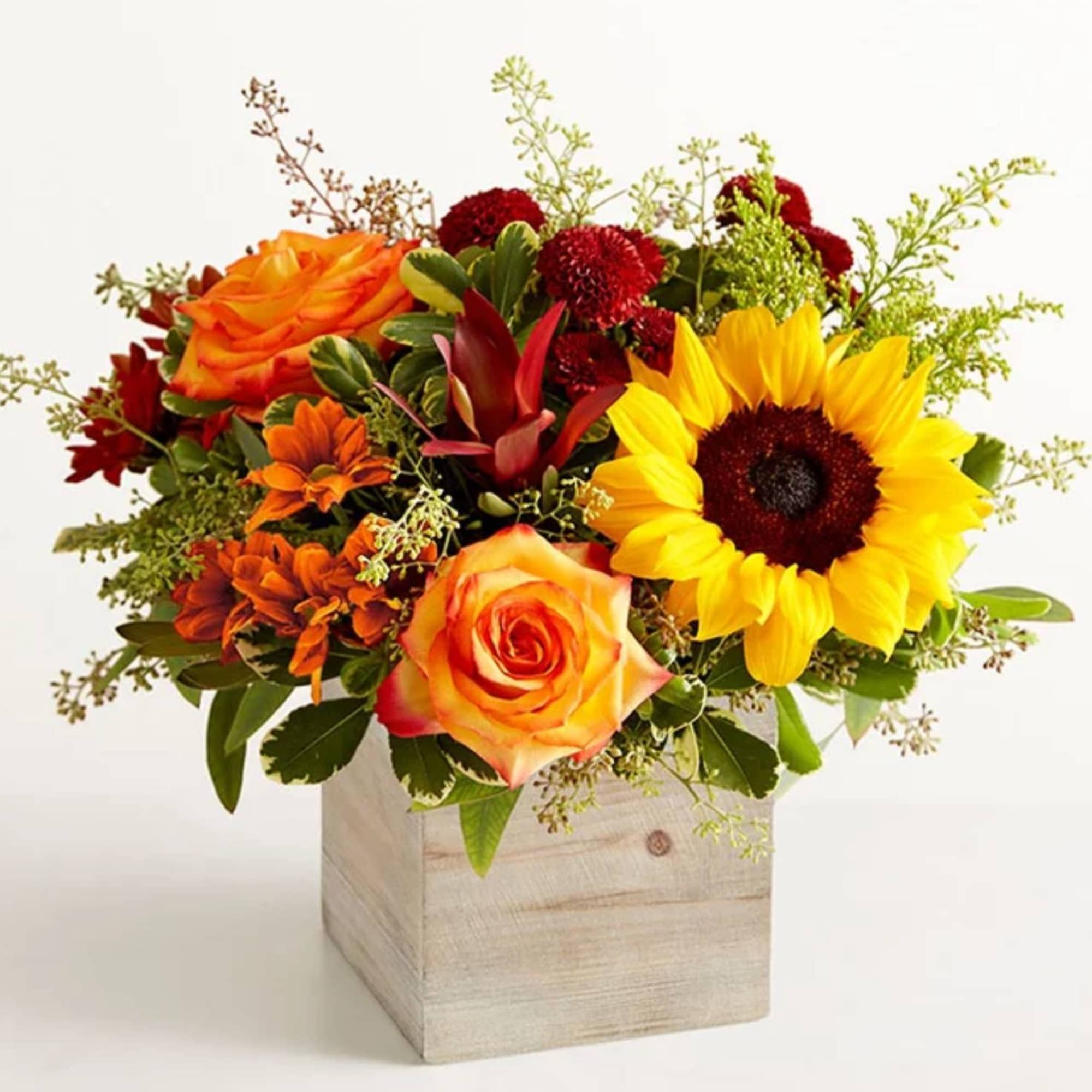 All-around arrangement with red button poms and leucadendrons, autumn-color roses, sunflowers, and