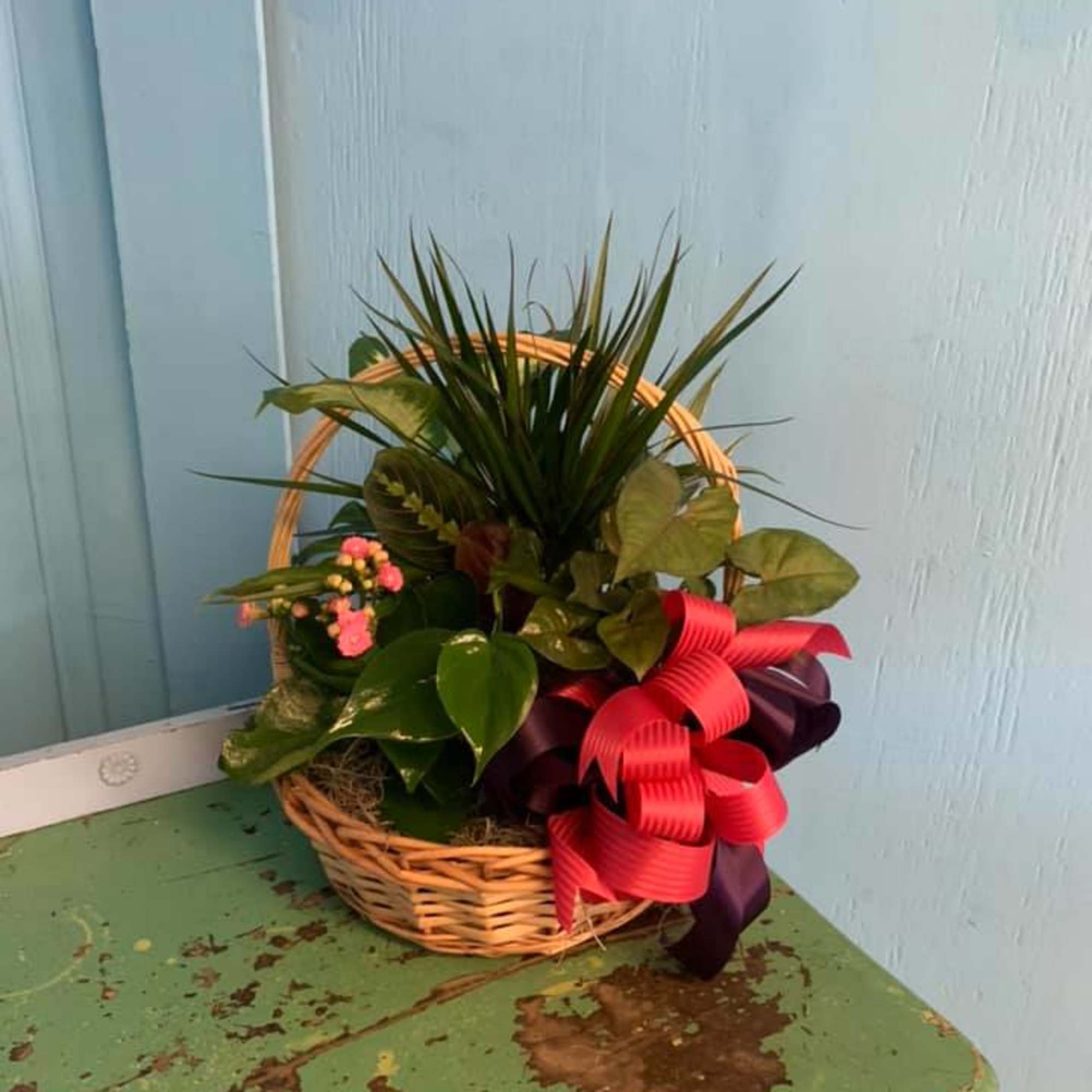 We will gather wonderful lush plants to create a beautiful garden for