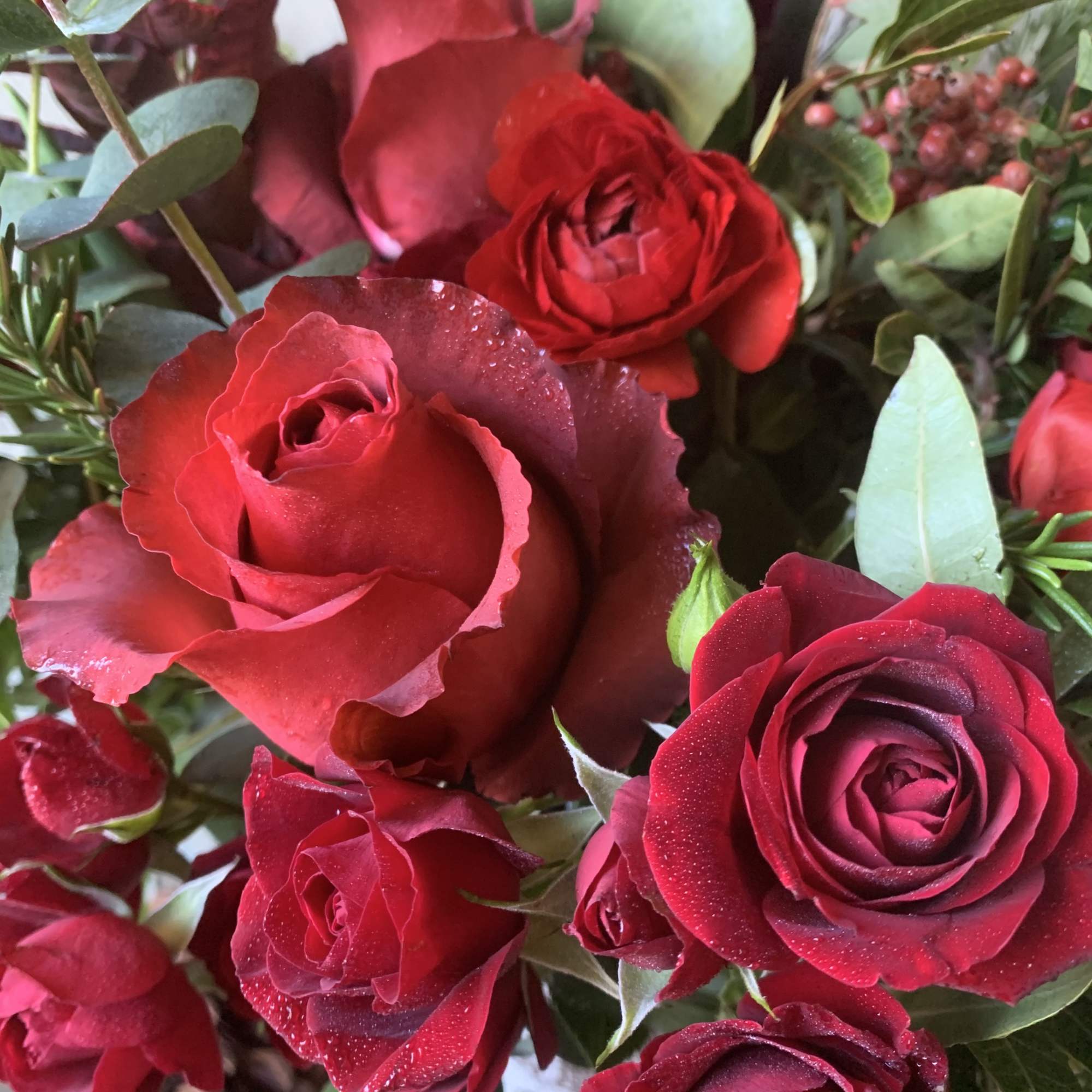 Spread Holiday cheer with this beautiful array of seasonal red roses and