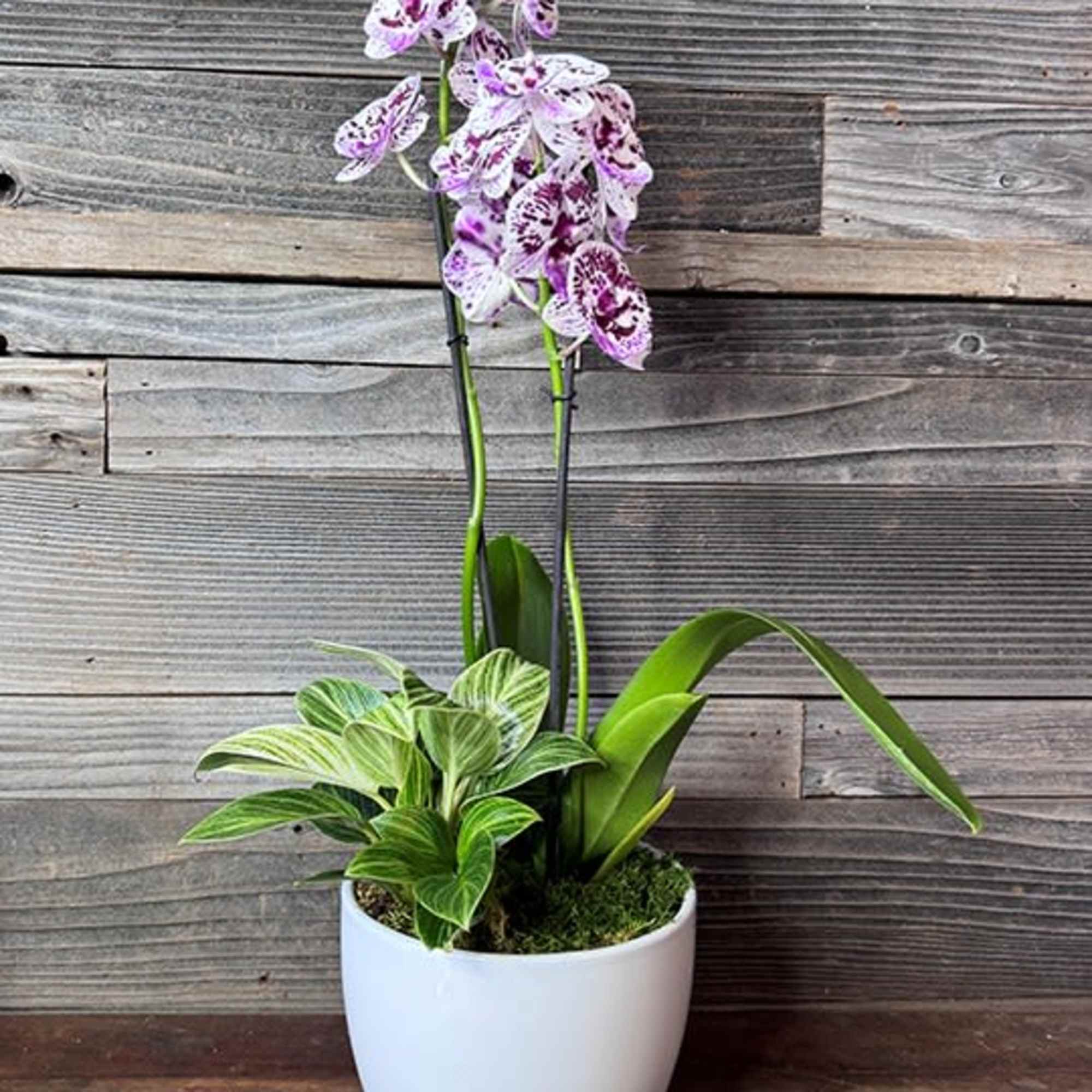 Grown locally in East Honolulu, Watanabe Floral is proud to announce our