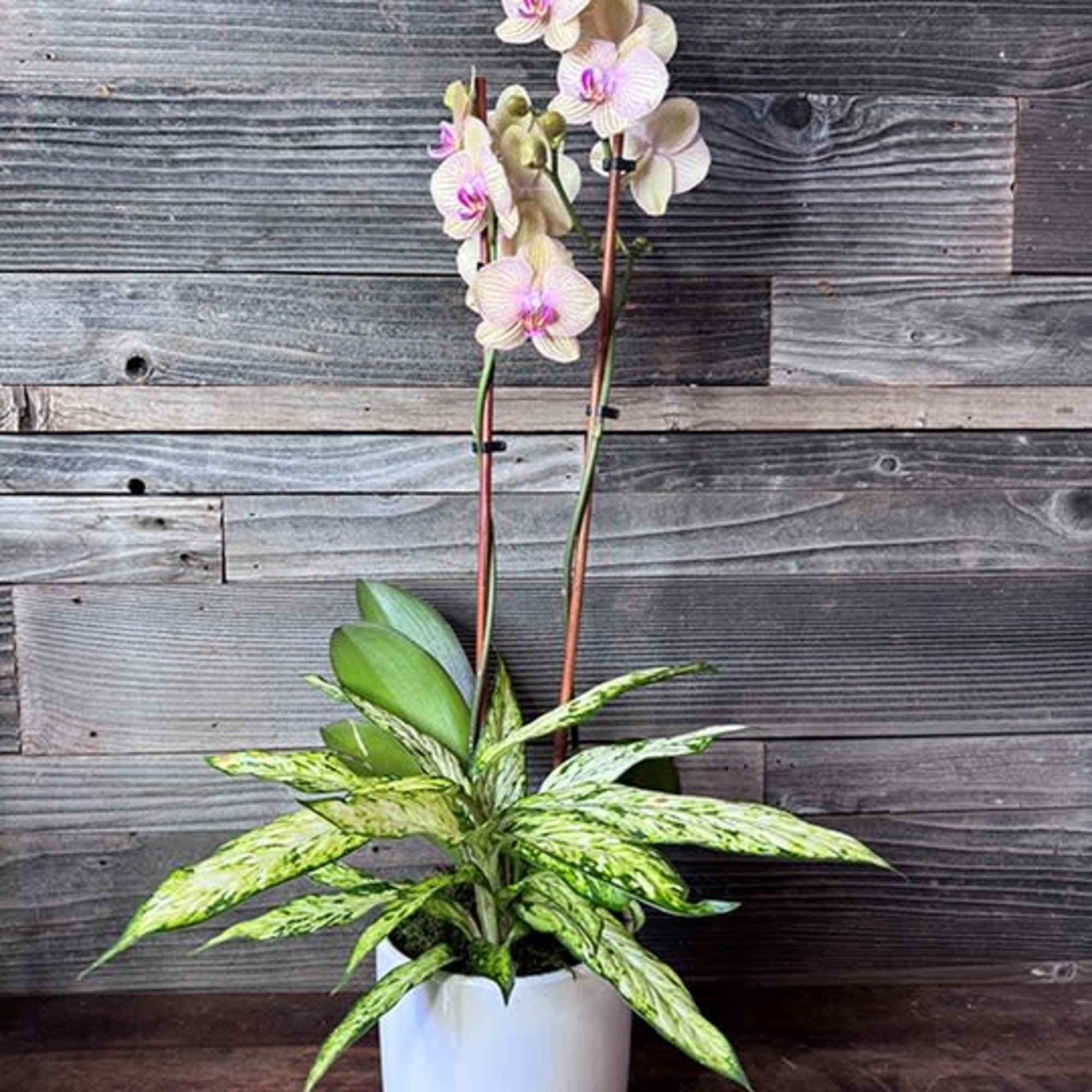 Grown locally in East Honolulu, Watanabe Floral is proud to announce our