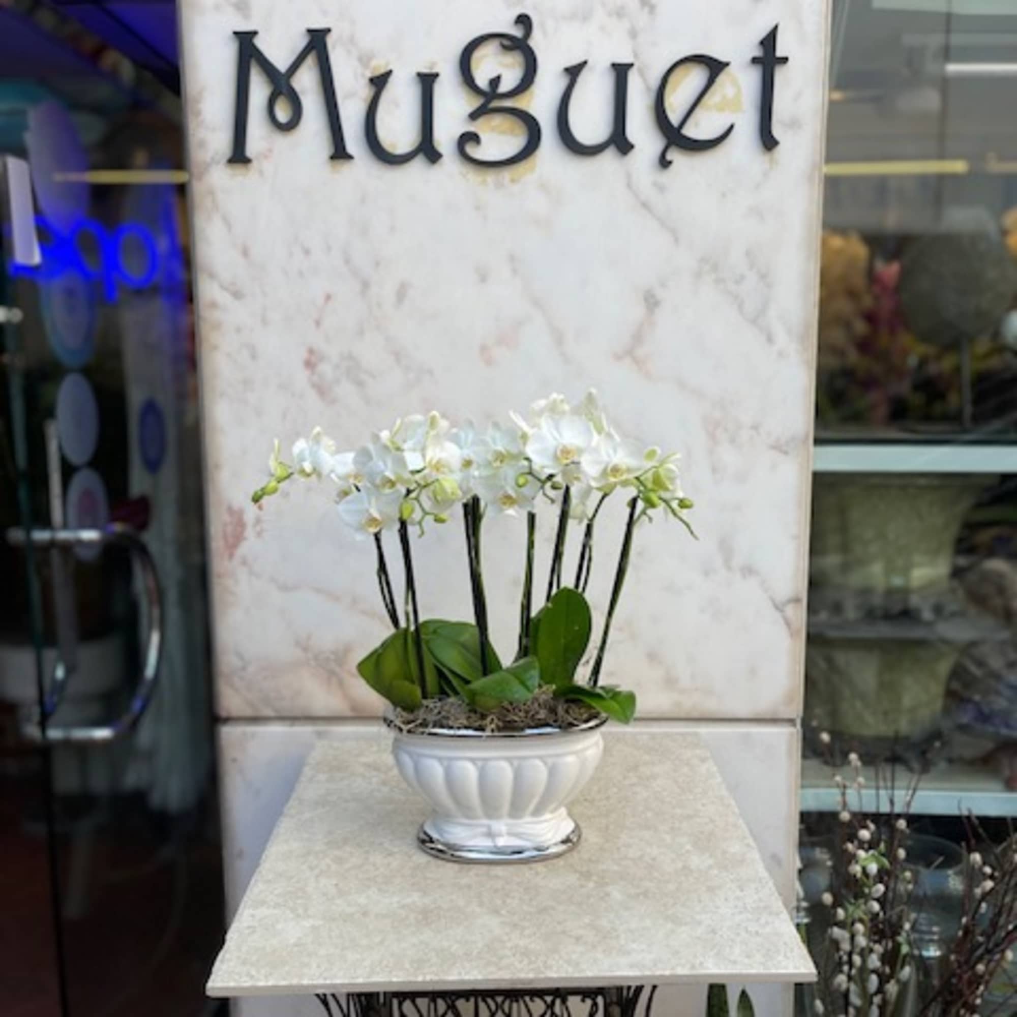 Ceramic Bowl of 4 White Mini Phalaenopsis Orchids arrangement.

Orchids are elegant and