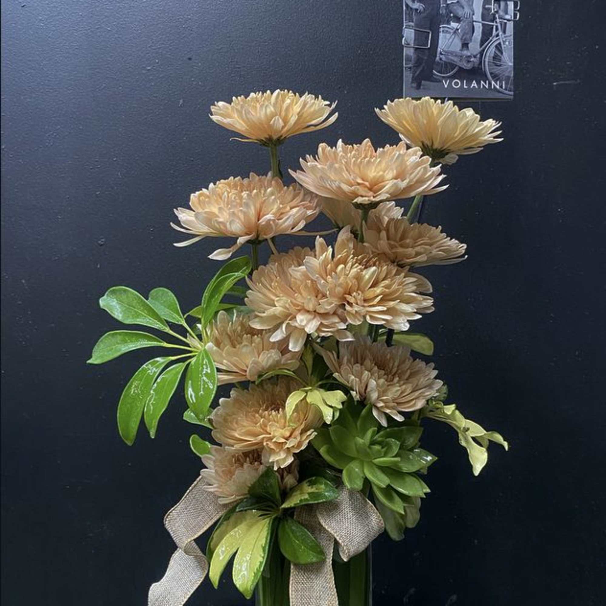 Color will change do to season...flavored Mums.

*We use the freshest flowers available