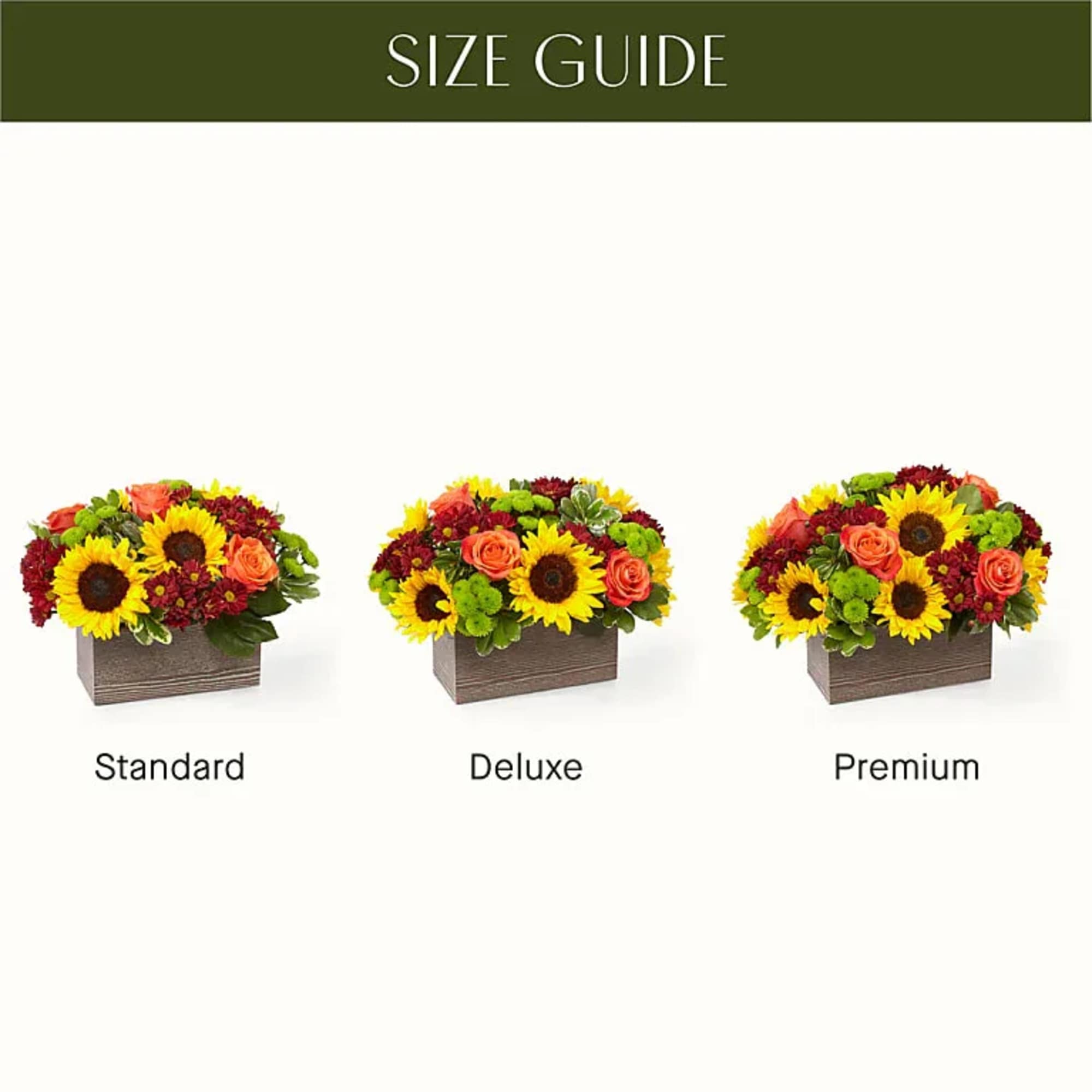 Delight your friends and family with an assortment of bright Autumn colors