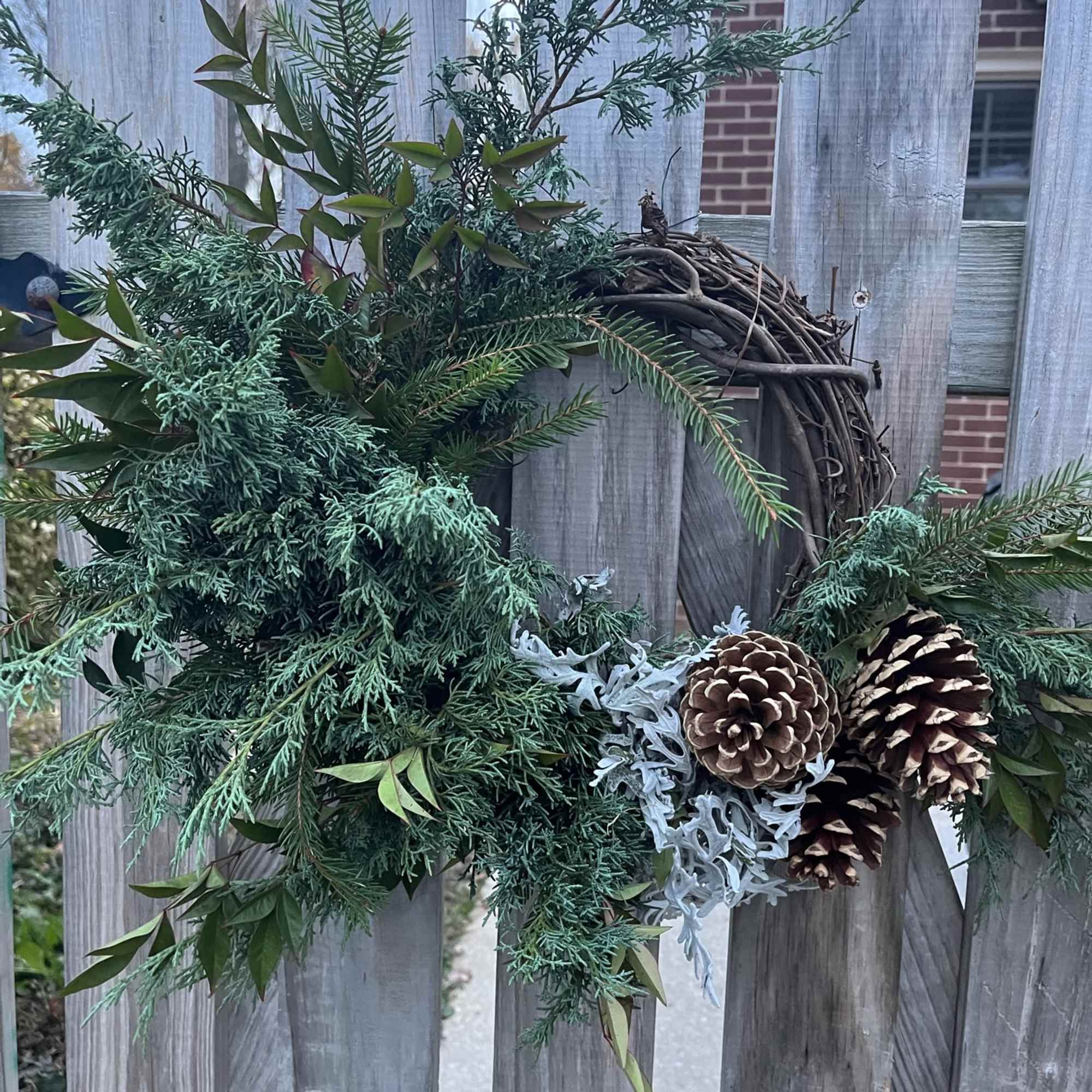 A 10&quot; grapevine wreath with a variety of fresh evergreens, ferns, seed