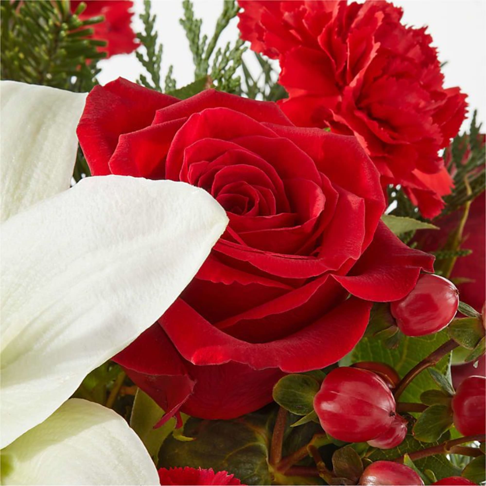 Infuse your holiday season with radiant cheer and vibrant blooms, designed to