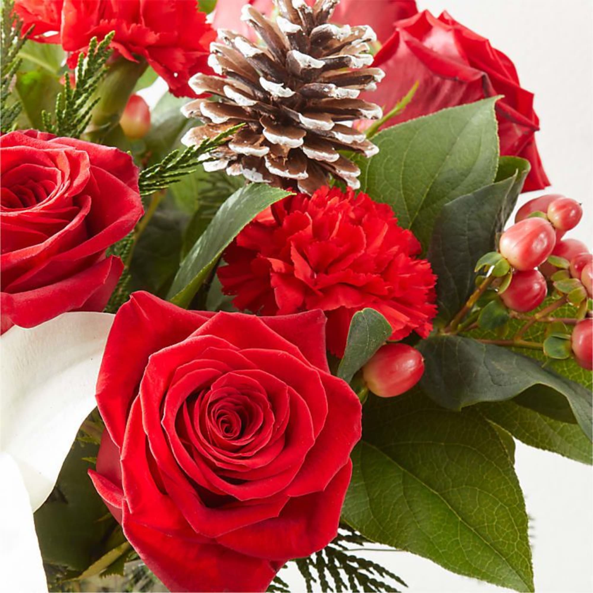 Infuse your holiday season with radiant cheer and vibrant blooms, designed to