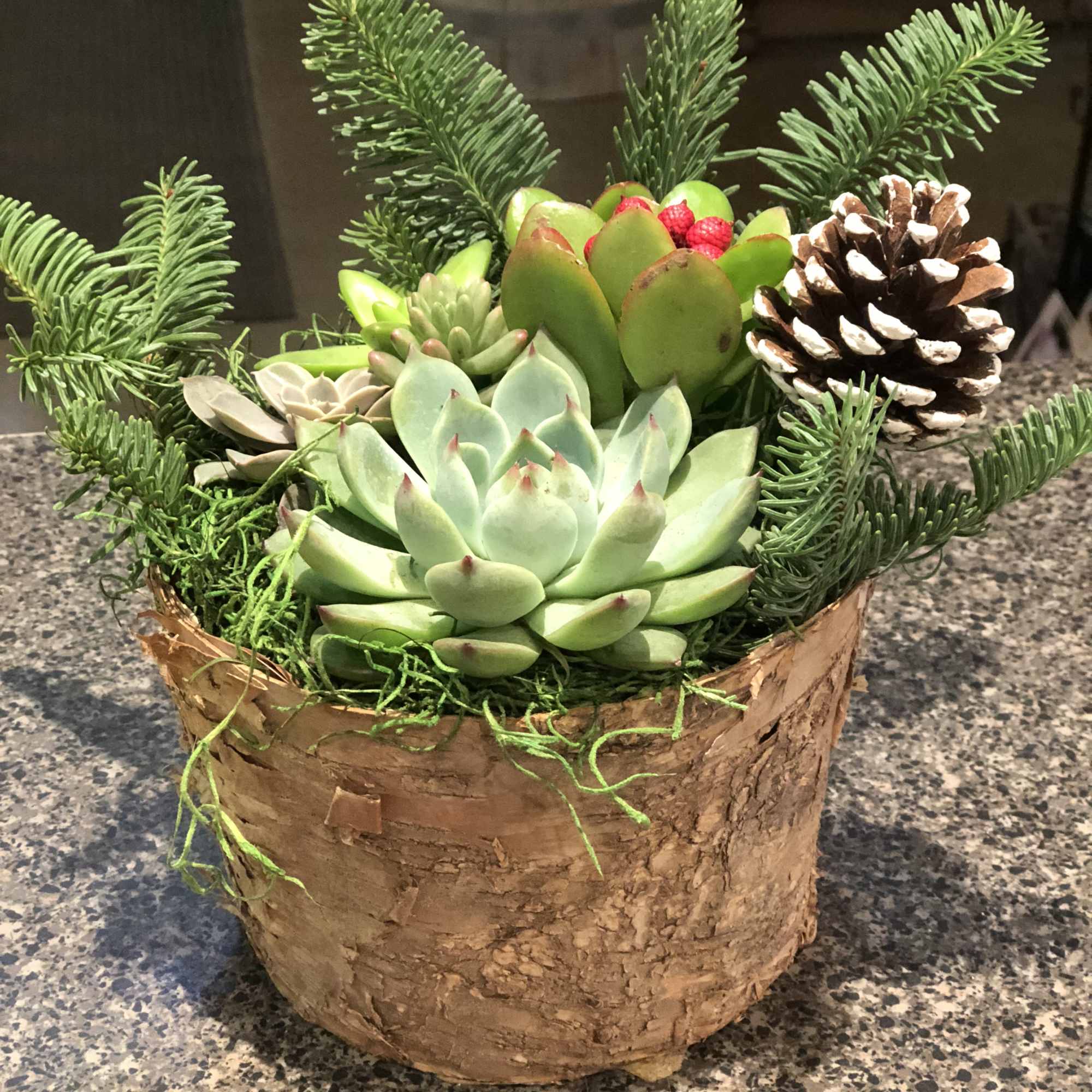 Spice up the usual Christmas Basket with this gem! We mix beautiful