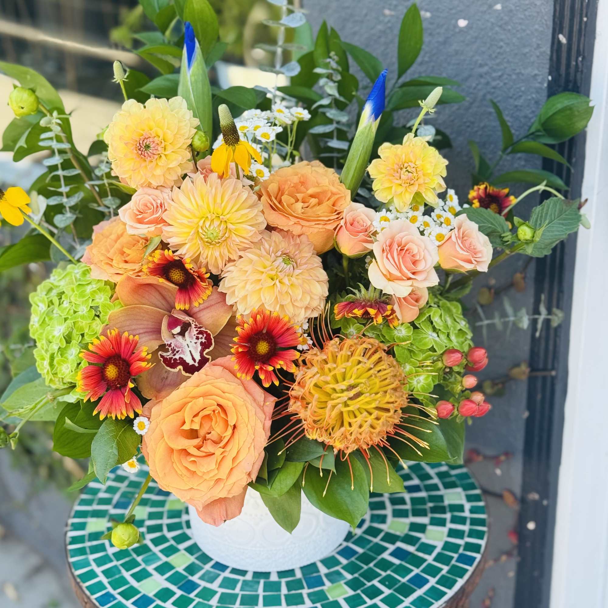 Seasonally, whichever Protea is in season we will use the first photograph