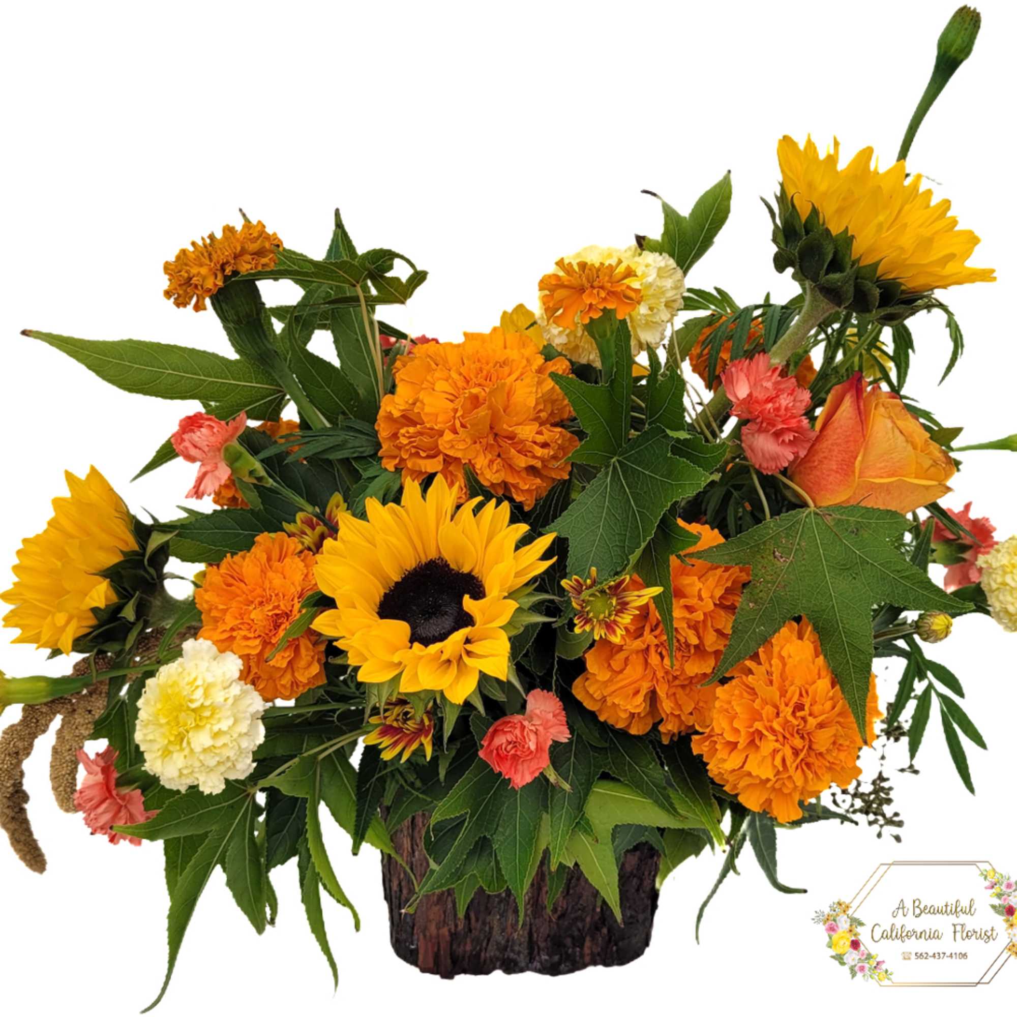 The change of seasons is upon us. Autumn Shades in fall colors