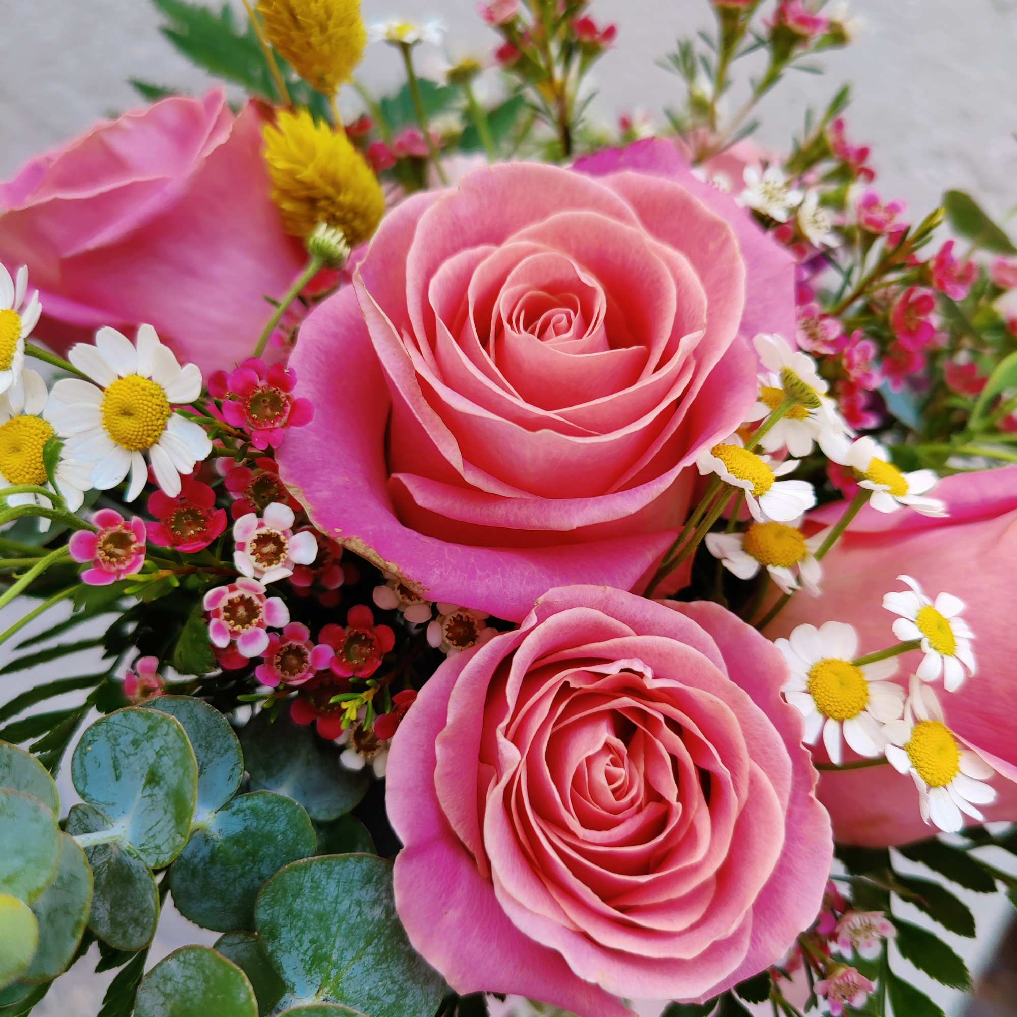 Beautiful fresh seasonal rose arrangement decorated with Hermosa roses, seasonal filler flowers
