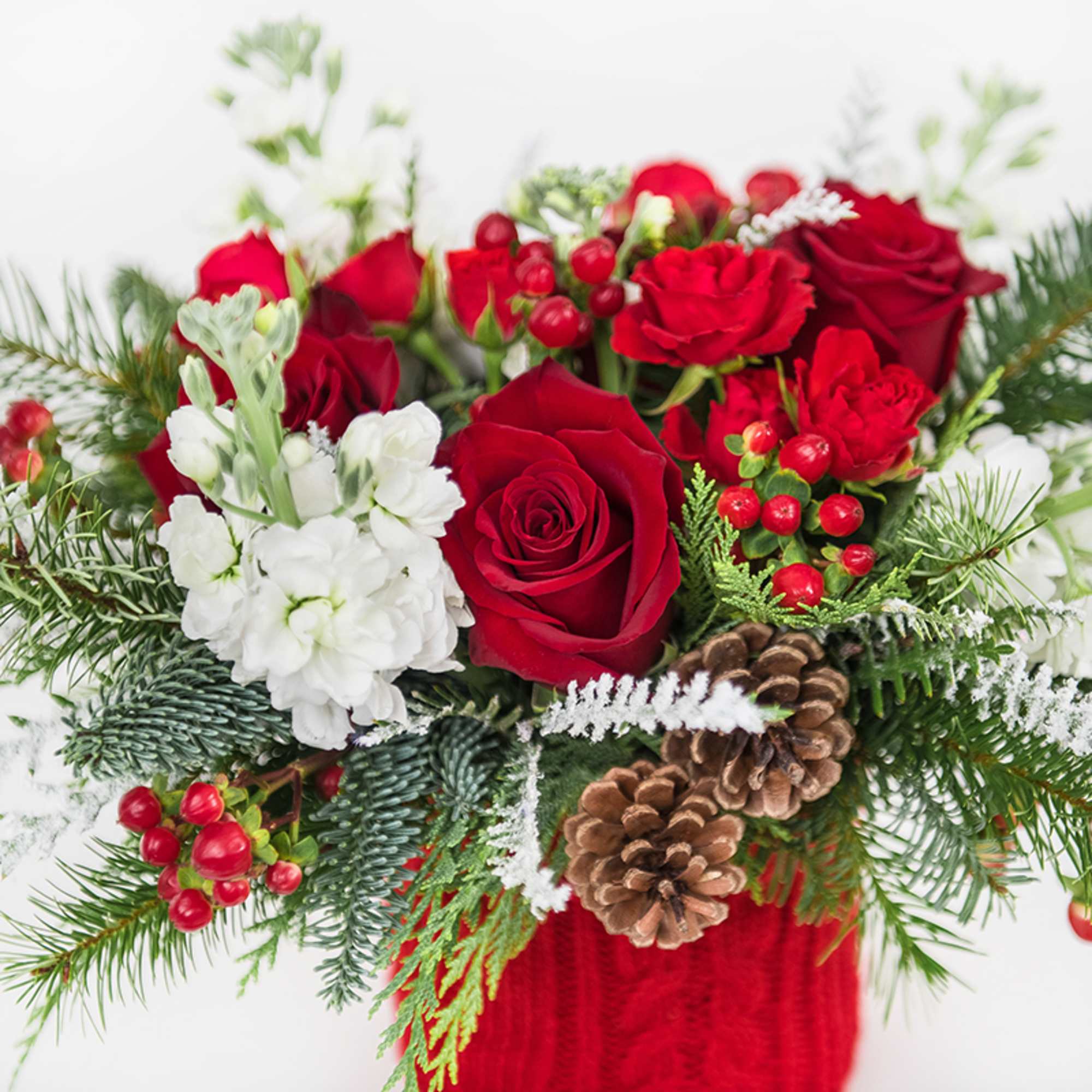 Wrap yourself up in the cozy vibes of our coziest arrangement! 
Full