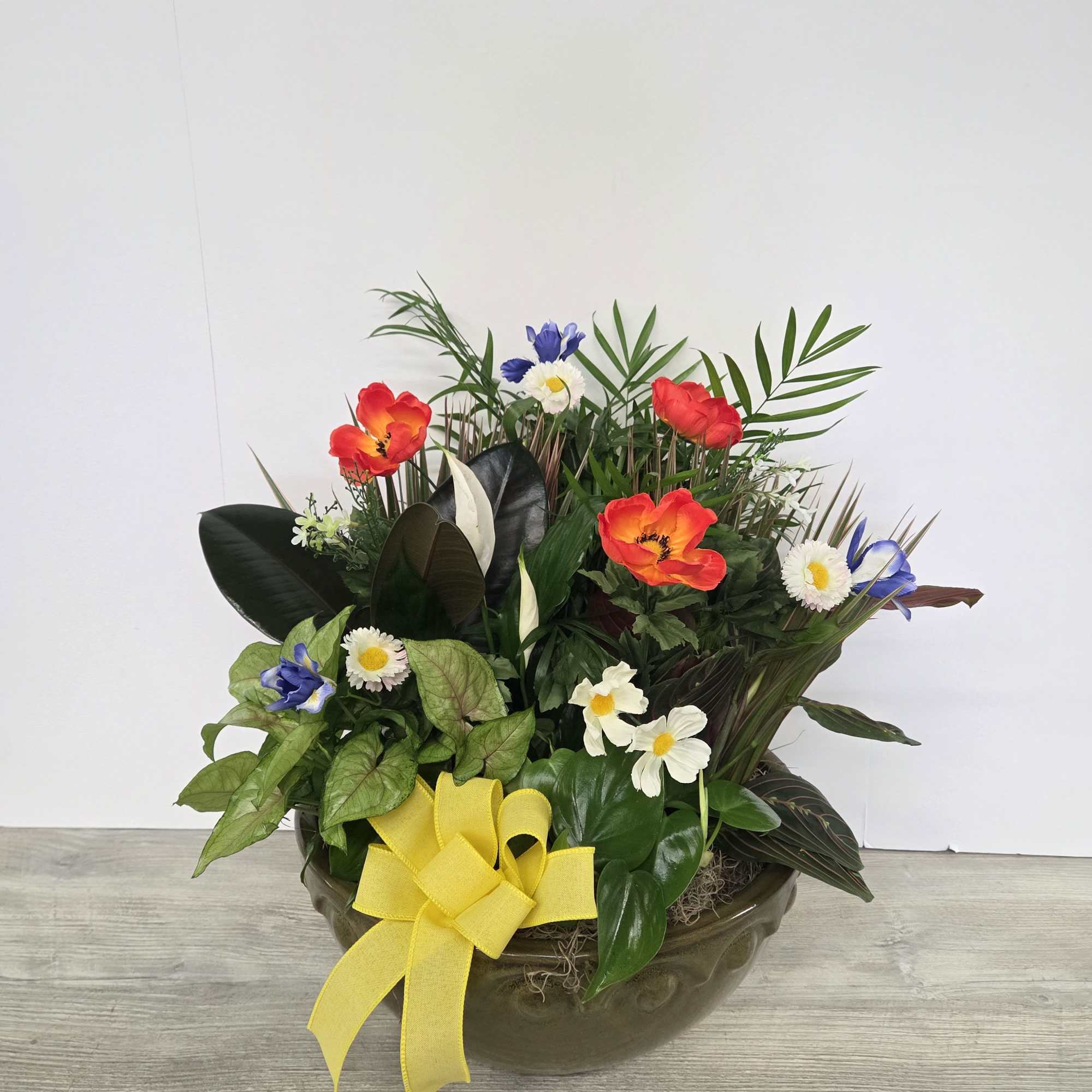 A lush combination of green plants makes an excellent gift. It&#039;s a