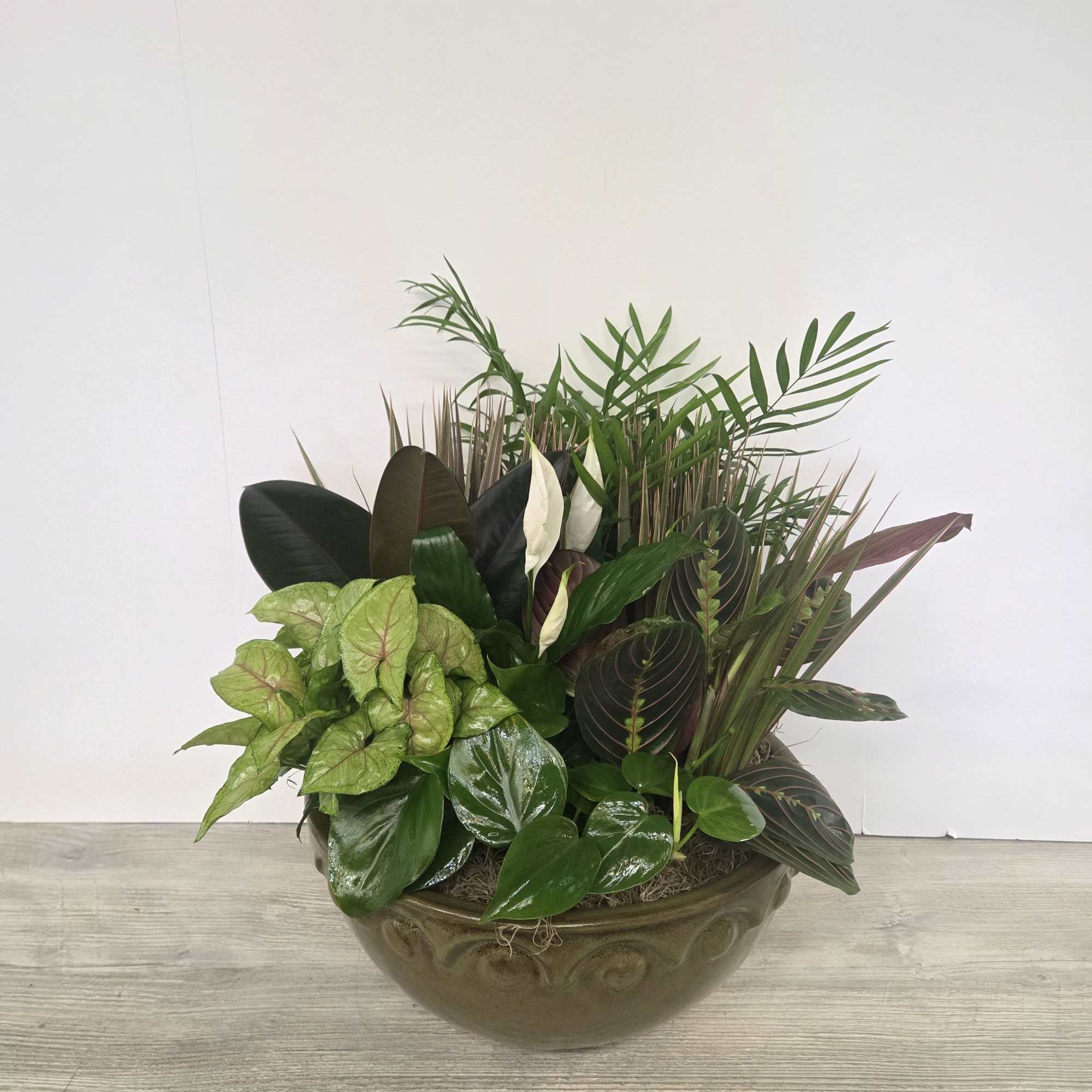 A lush combination of green plants makes an excellent gift. It&#039;s a